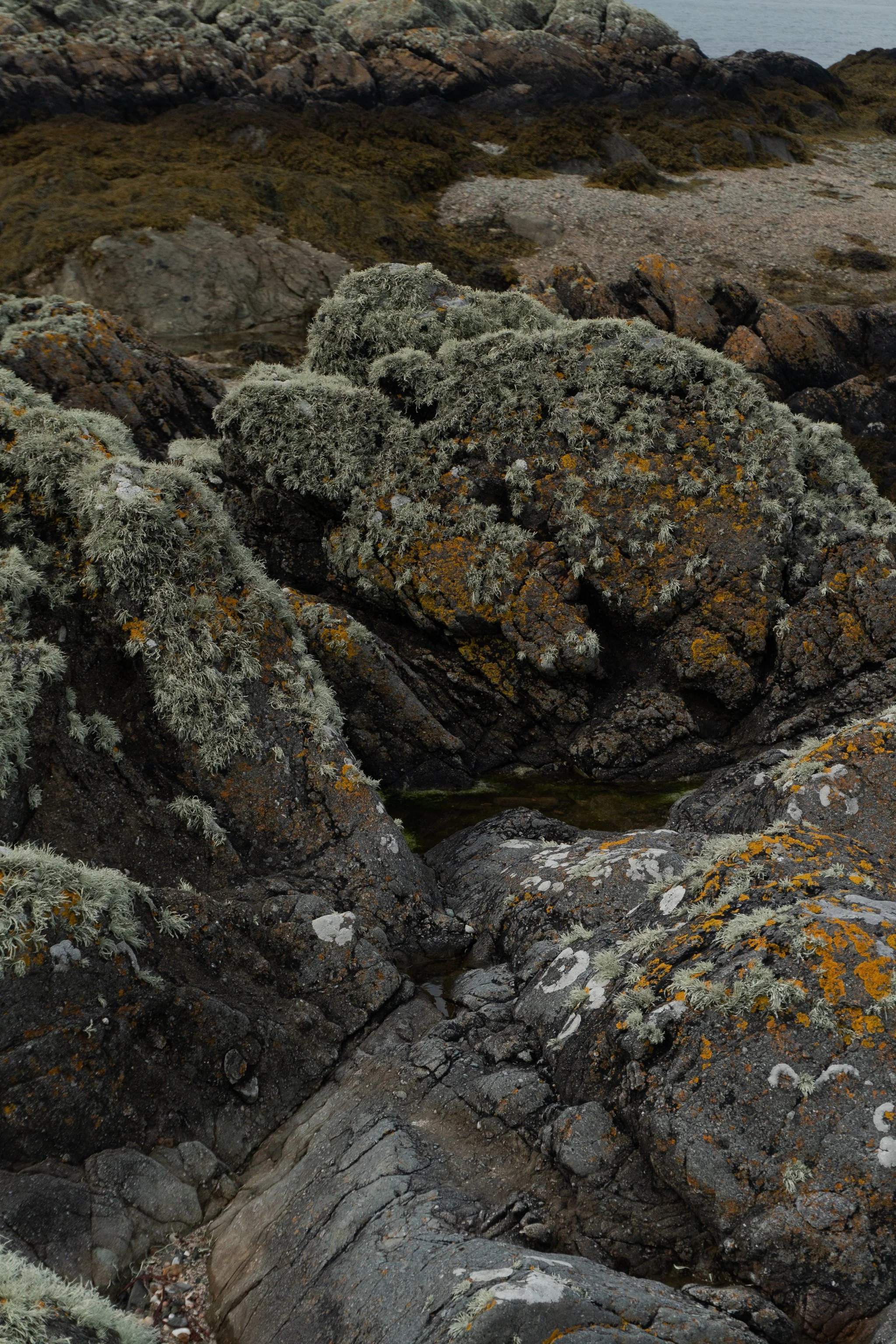 Landscape 03-02681.JPG