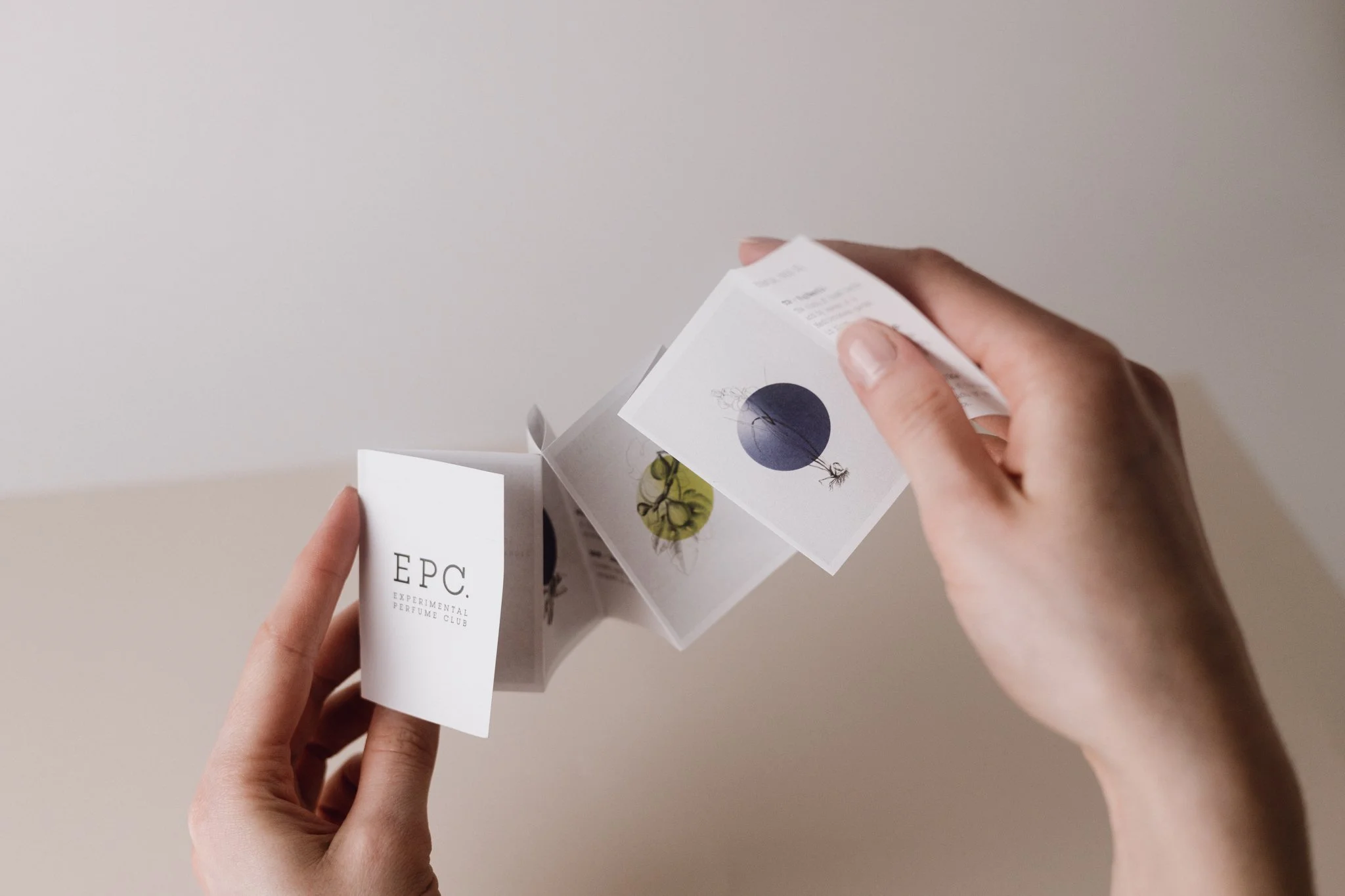 Discovery Set's (12).JPG