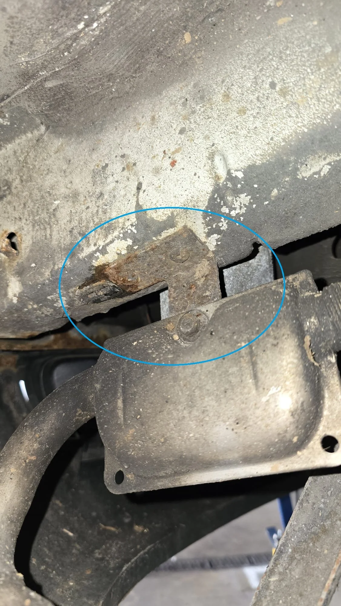 WhatsApp Image 2025-12-19 at 15.28.16.jpeg