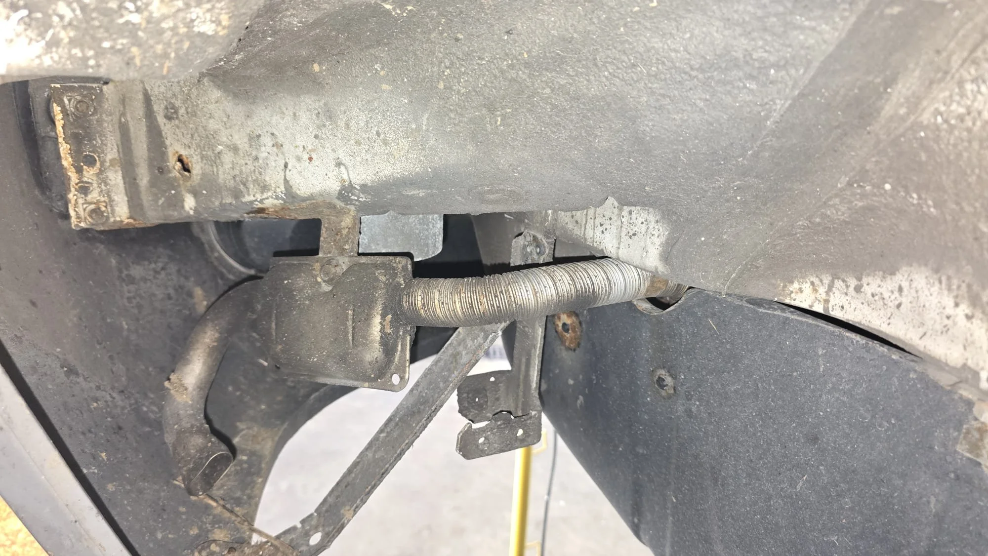 WhatsApp Image 2025-12-19 at 15.28.15.jpeg