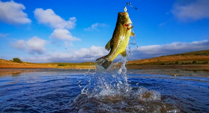 Professional polygraph examiner conducting fishing tournament polygraph testing to ensure fair competition and verify anglers in compliance with tournament rules