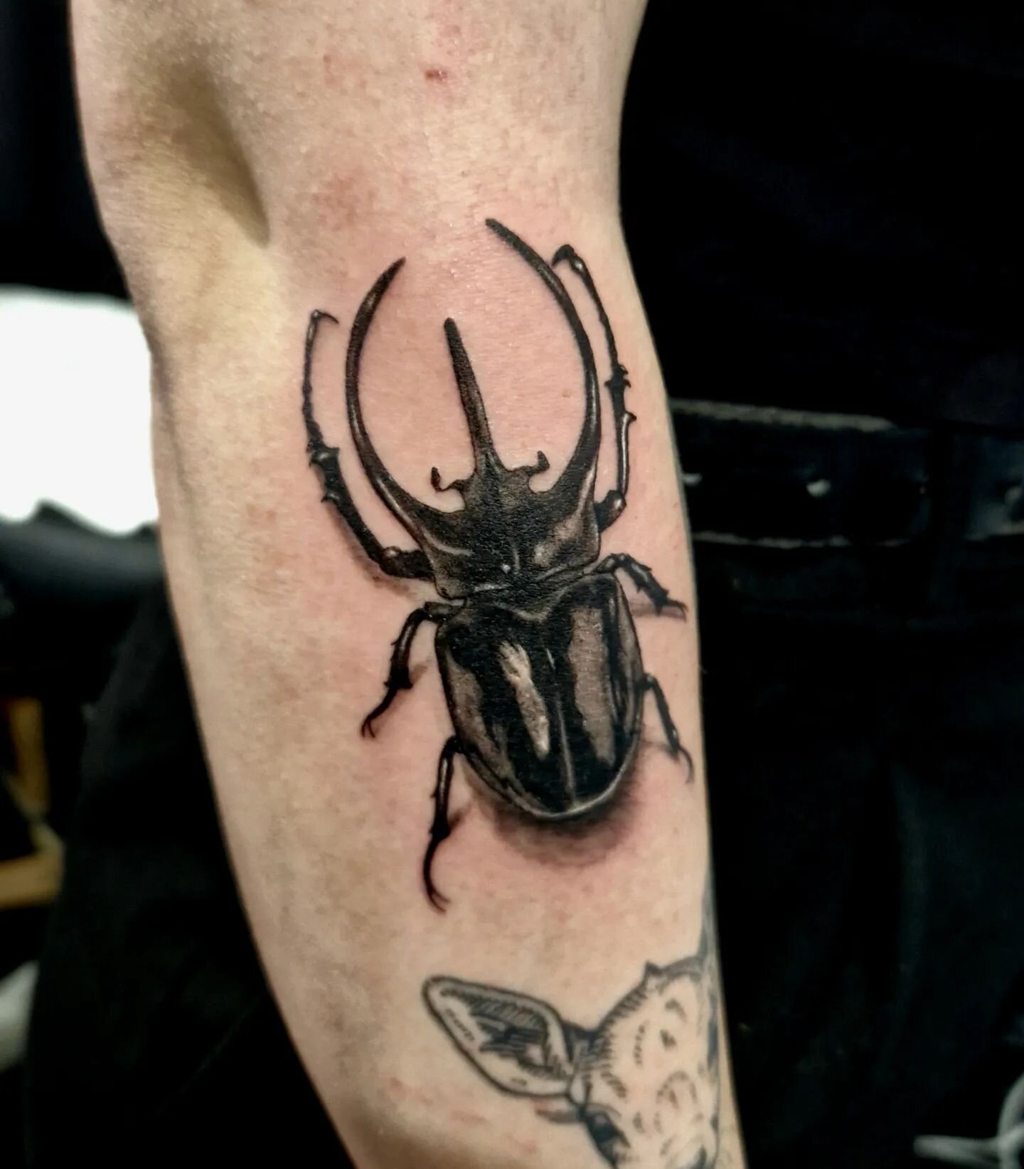 Petit scarab&eacute;e r&eacute;alis&eacute; pendant la @lilletattooconvention.

N'h&eacute;sitez &agrave; me contacter pour des projets similaires directement par mail arnaud.gomet@gmail.com 

@le.spot.tattoo.nantes 

www.agtattoo.fr 

#insect #beetl