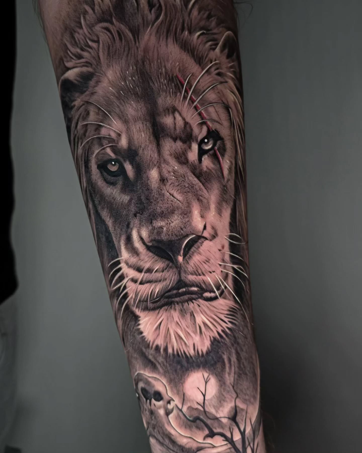 ⚡️PROJET SCAR⚡️

Merci Enzo pour ce projet Scar tir&eacute; du film en live action du Roi Lion, j'adore tatouer vos projets issus de la pop culture (films, jeux vid&eacute;os, comics...).

N'h&eacute;sitez pas &agrave; me contacter par mail pour disc