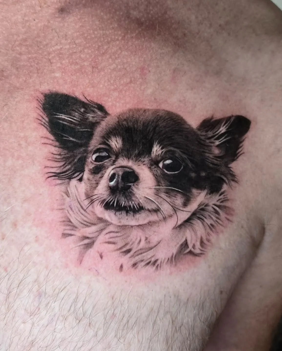 ⚡️PROJET CHIHUAHUA⚡️

Merci Franck de m'avoir fait confiance pour encrer ta petite chienne.
N'h&eacute;sitez &agrave; me contacter pour vos tatouages animalier en noir et gris, c'est toujours un plaisir de vous les r&eacute;aliser.

🏠 R&eacute;alis&