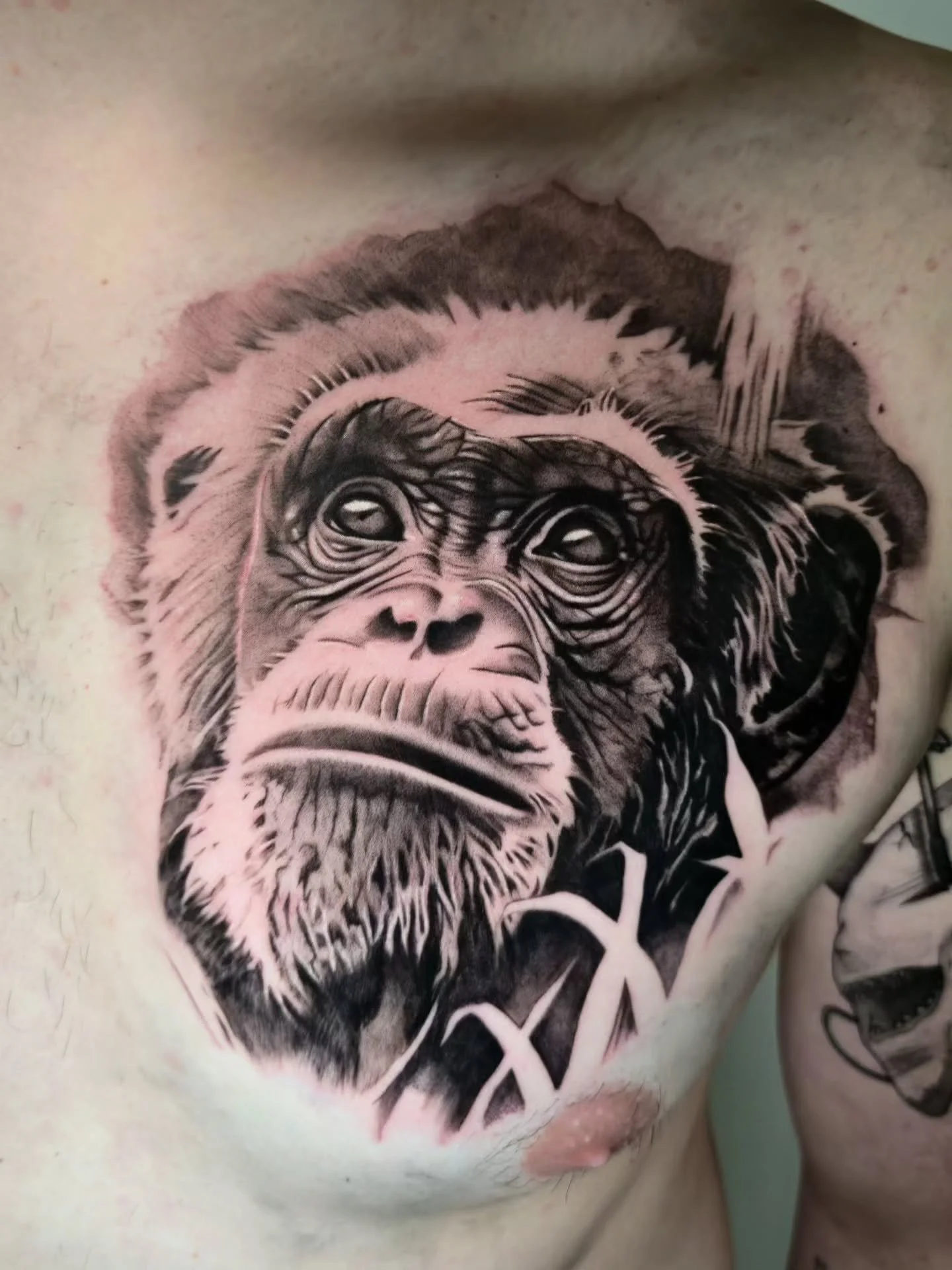 ⚡️PROJET CHIMPANZ&Eacute; ⚡️

Merci Christopher d'avoir r&eacute;serv&eacute; ce flash ! 🙏

N'h&eacute;sitez pas &agrave; me contacter par mail pour discuter de vos projets &agrave; arnaud.gomet@gmail.com 

🏠 @le.spot.tattoo.nantes

-&Eacute;quipem