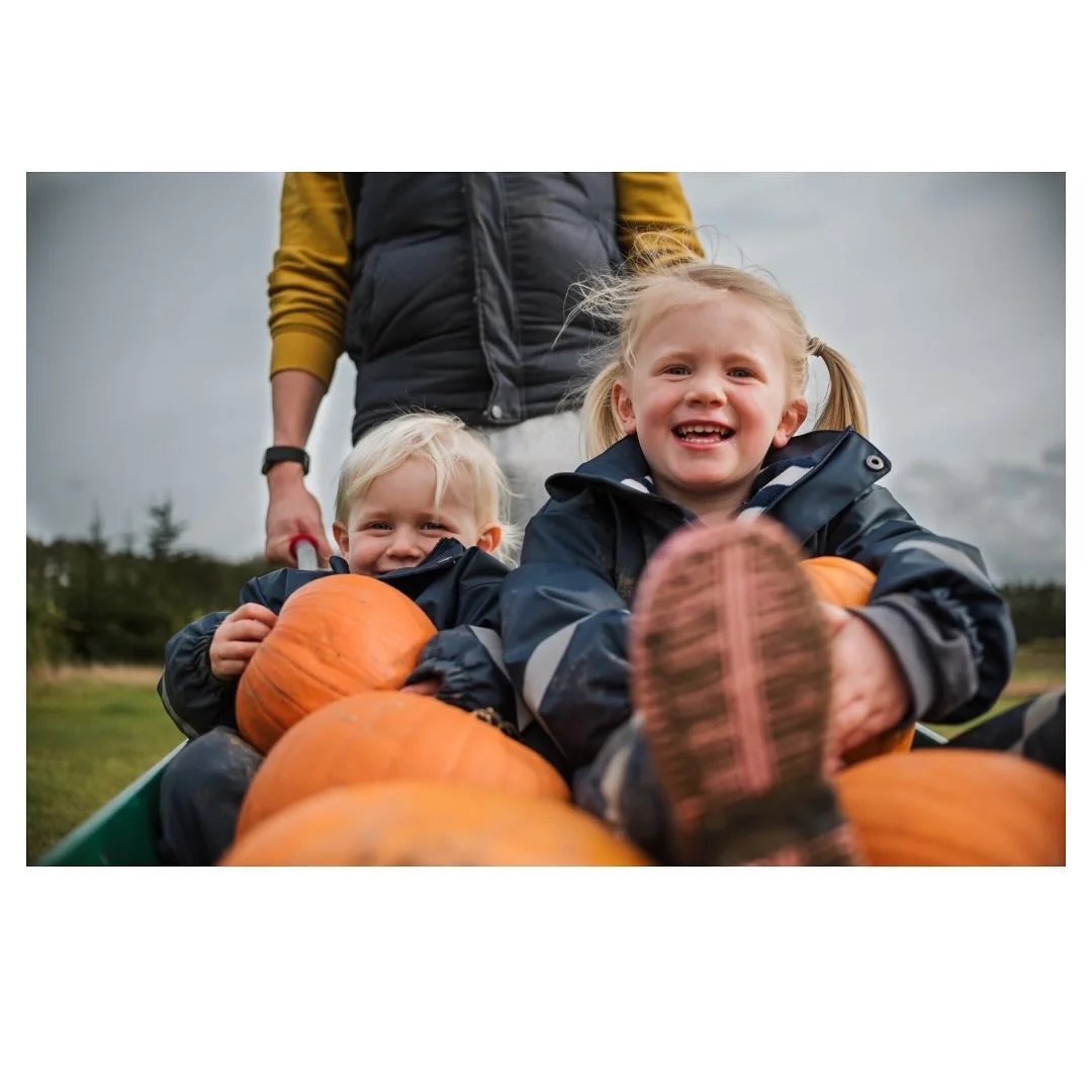 Ahhhh Halloween. I am all for celebrating a holiday, but I&rsquo;m not a massive fan of Halloween. I&rsquo;m not sure why. As a kid, I found it totally frightening, and you know when you&rsquo;re a bit older and everyone wants to watch horror movies 
