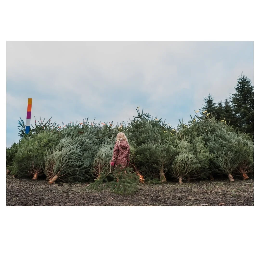 I started writing a long post about how important it is to capture those precious family moments, to preserve them for the generations to come. 

But then I deleted it. 

Why? 

Because you already know. 

You know that next year, your child will be 