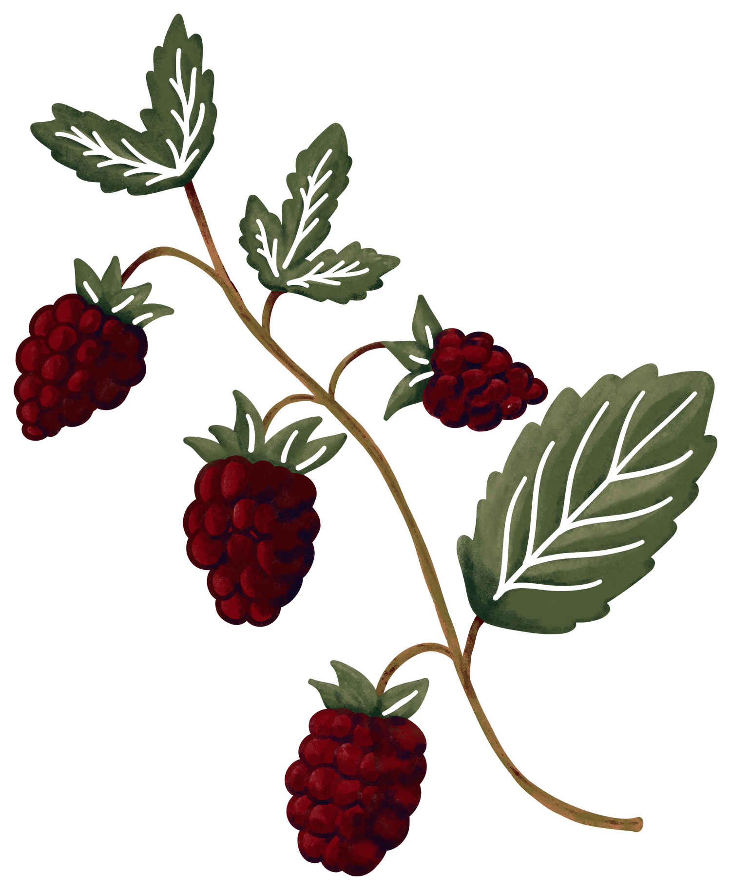 Why I am the photographer for you — Rebecca Thompson Photography