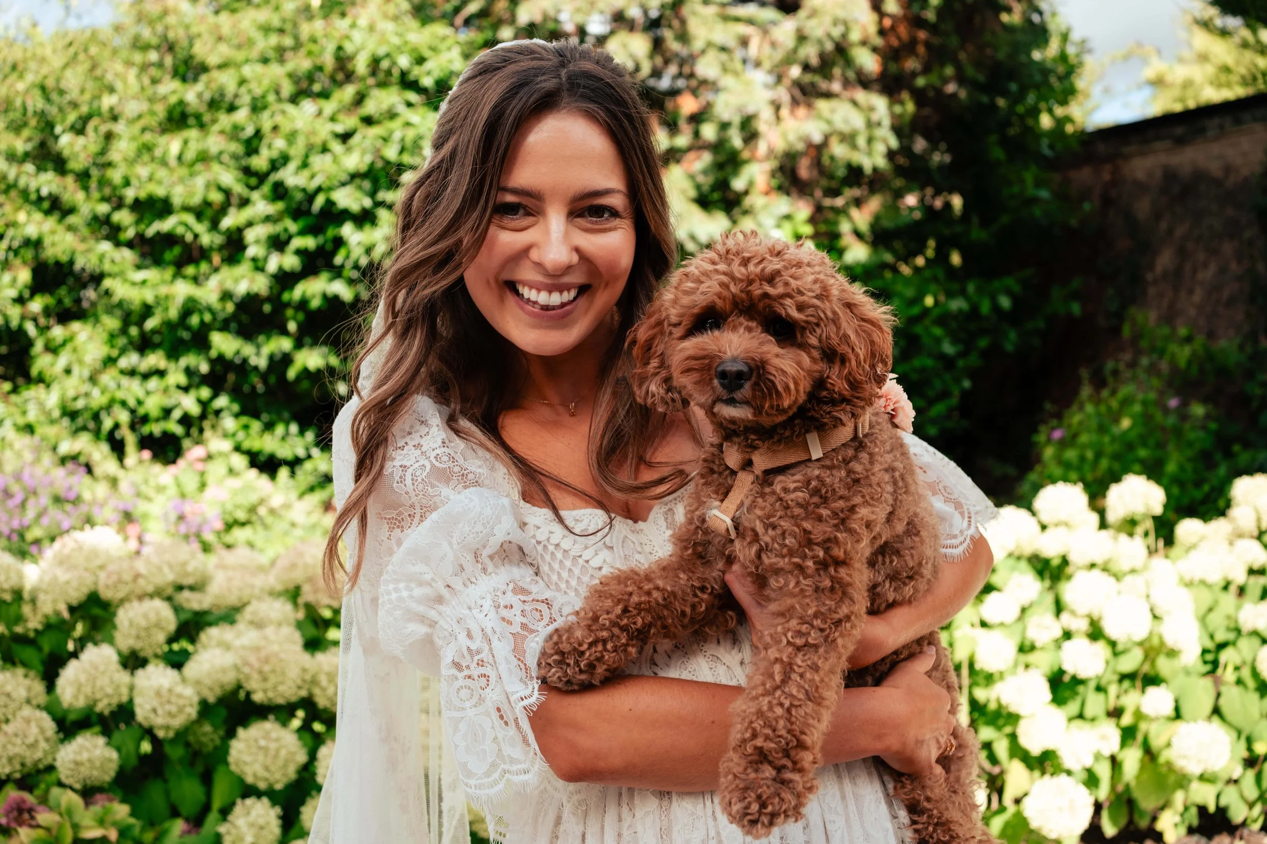 A woman smiling and holding a small brown poodle in a garden with green plants and white hydrangeas.