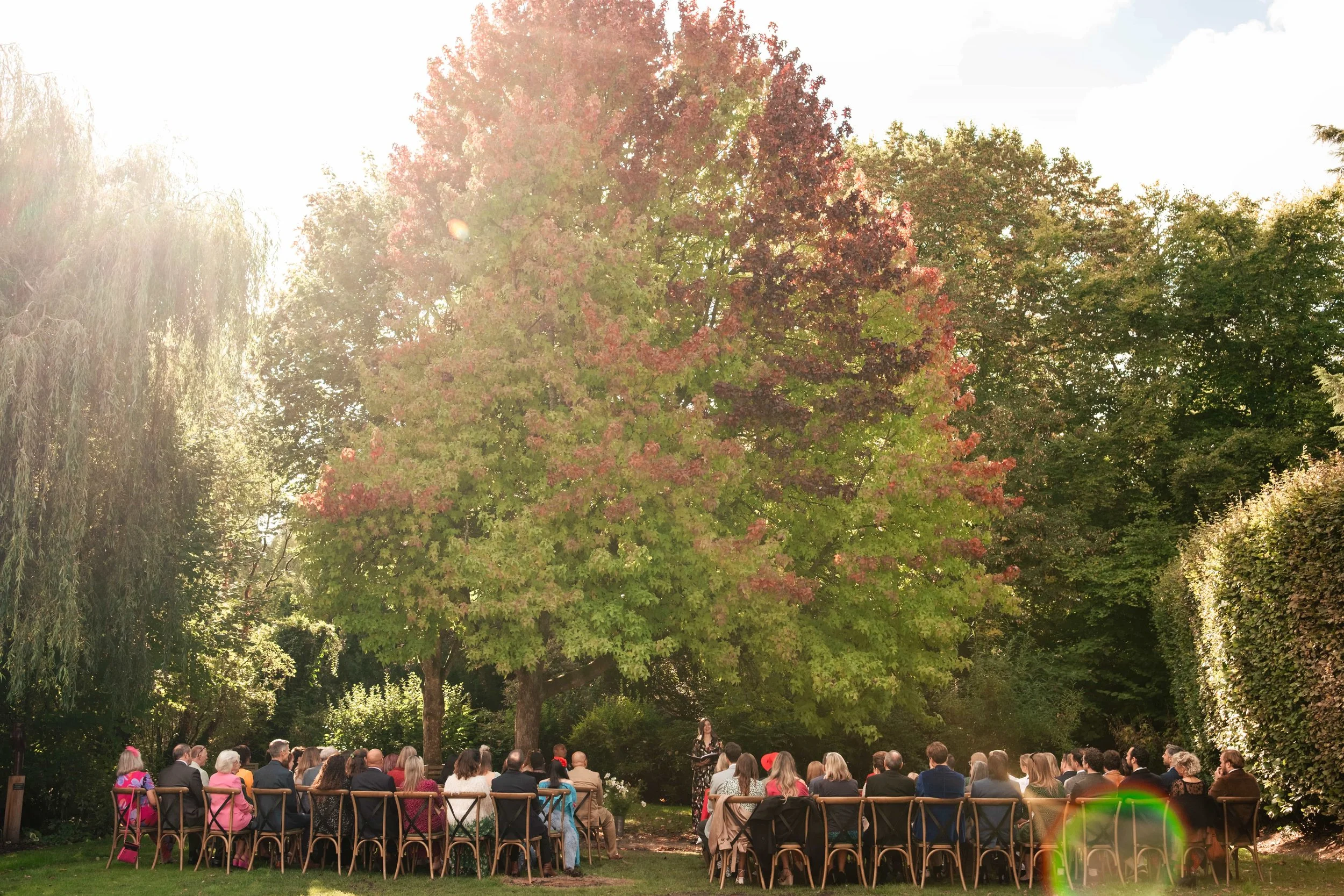 A group of people seated outdoors in front of a large green and red autumn tree, attending a gathering or event during daytime.