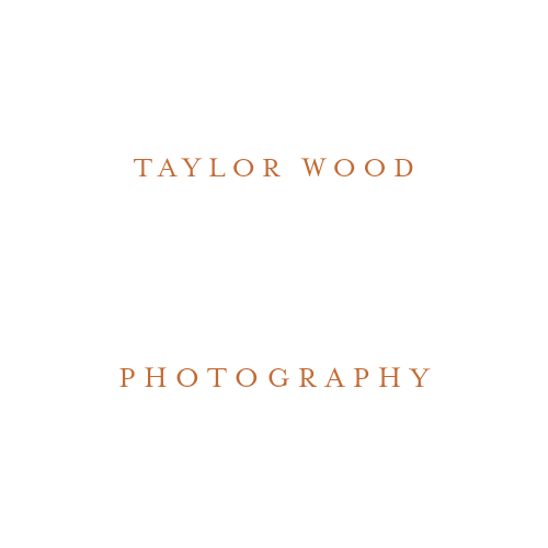 Oxfordshire Wedding Photographer - Taylor Wood Photography