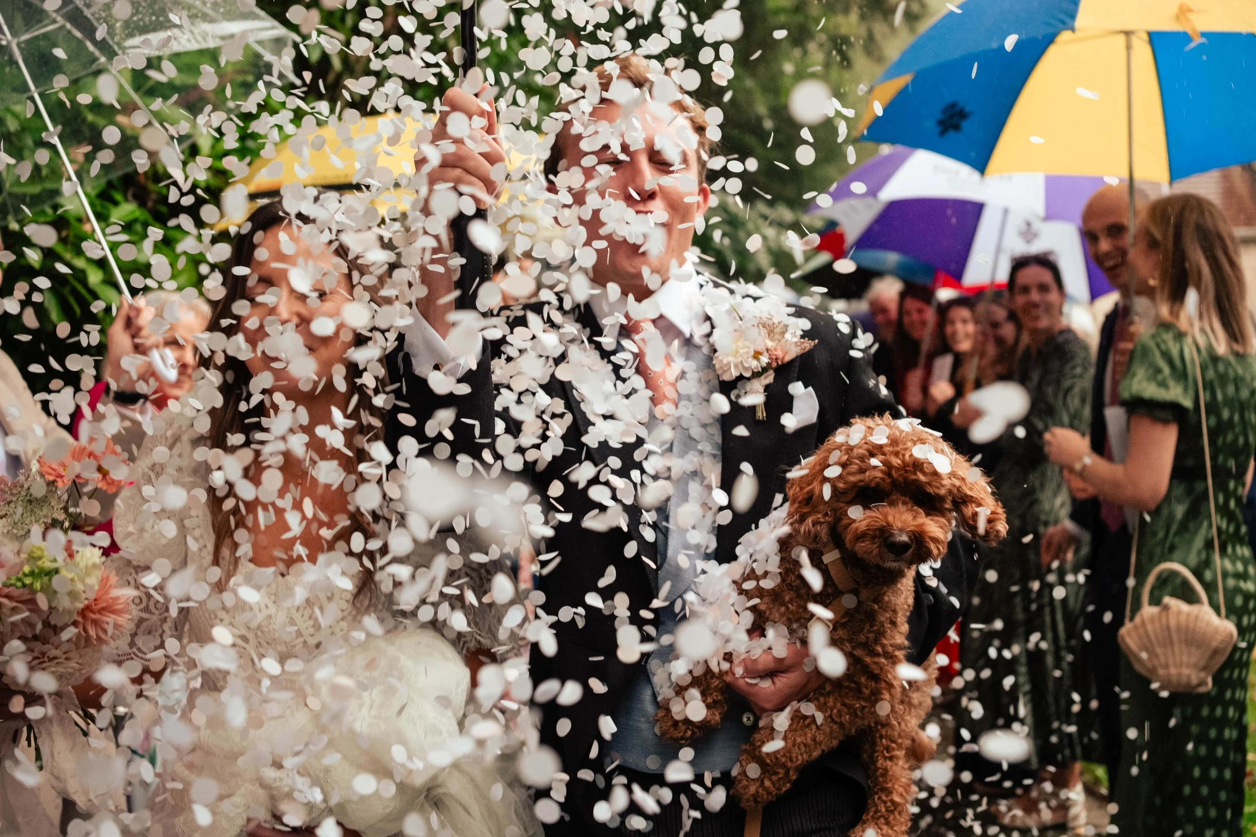 A newly married couple celebrating their wedding with confetti shower, surrounded by friends with umbrellas, and a man holding a brown cartoon dog.