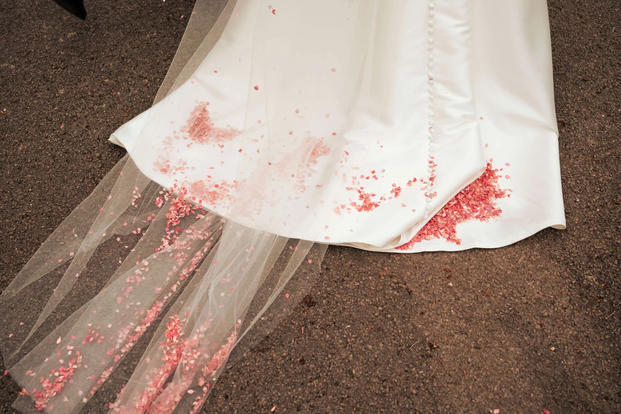 Wedding dress with pink flower petals spilled on the ground and over the train.