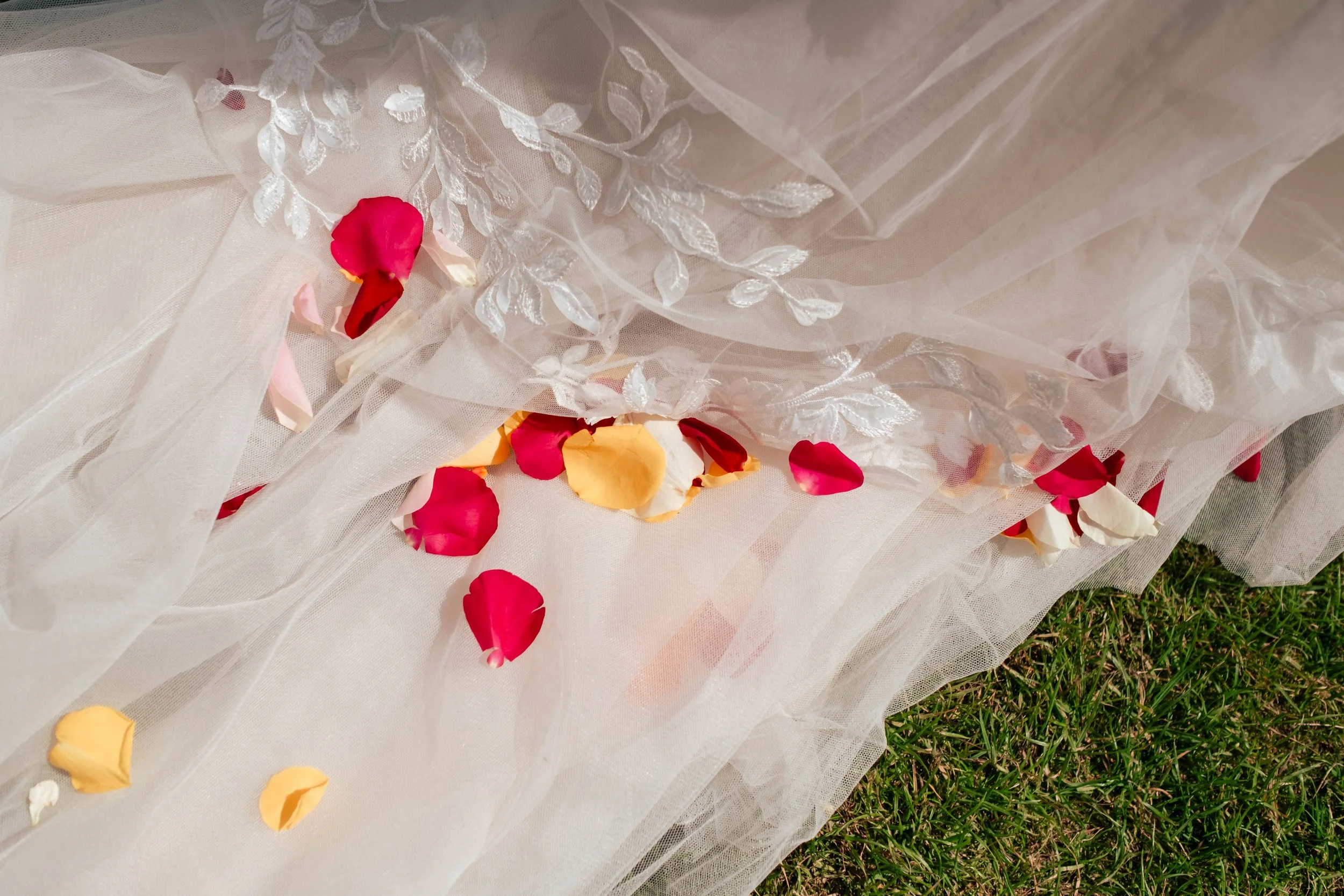 White lace and tulle fabric with scattered pink, red, and yellow rose petals on grass.