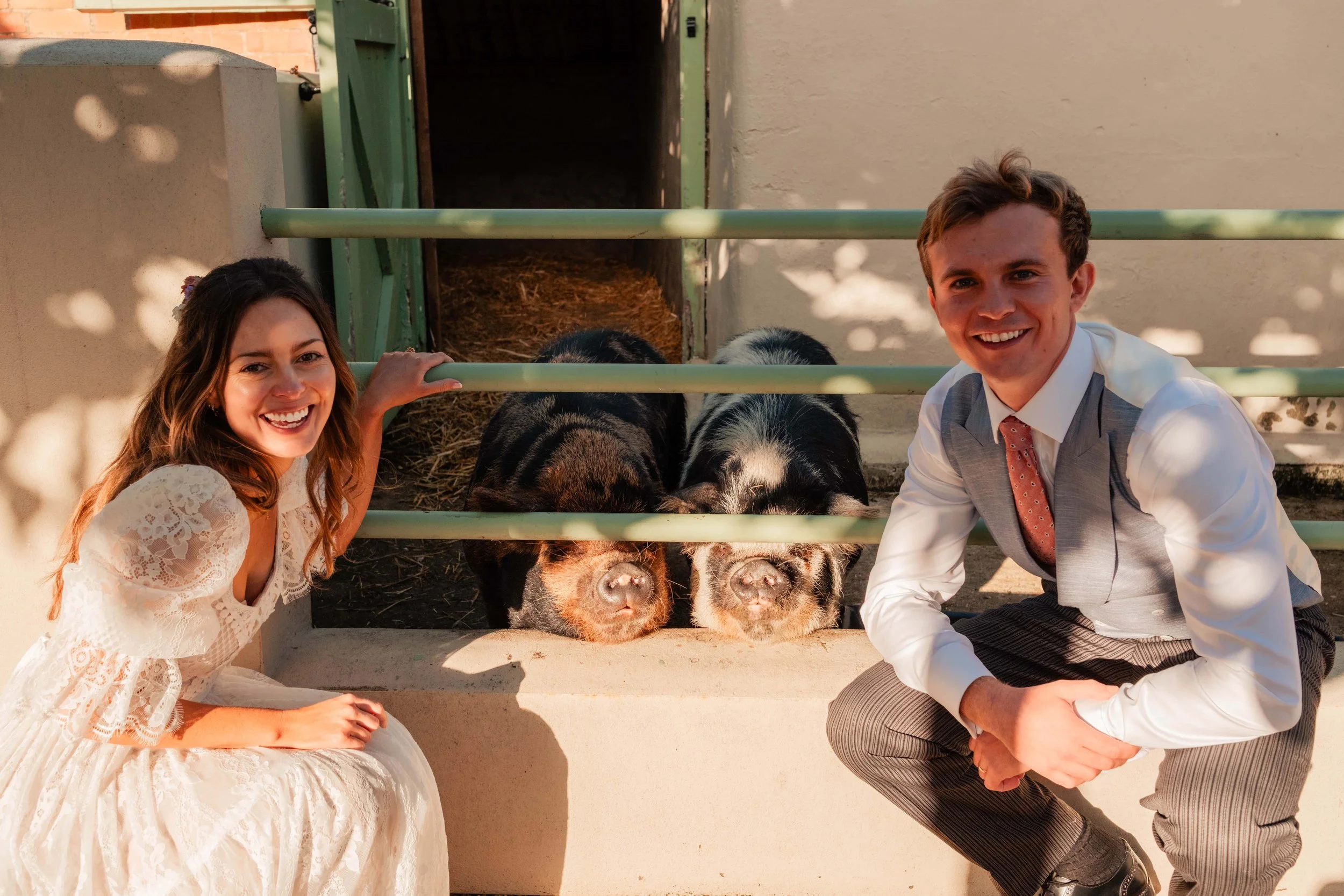 A smiling woman in a white lace dress and a smiling man in a white shirt and tie pose next to piglets behind a fence.