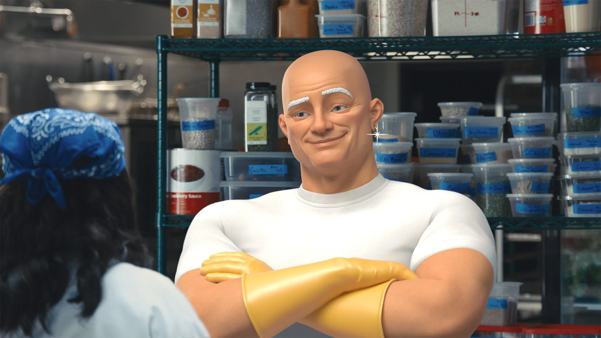 Mr. Clean Professional