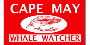 Cape May Whale Watcher