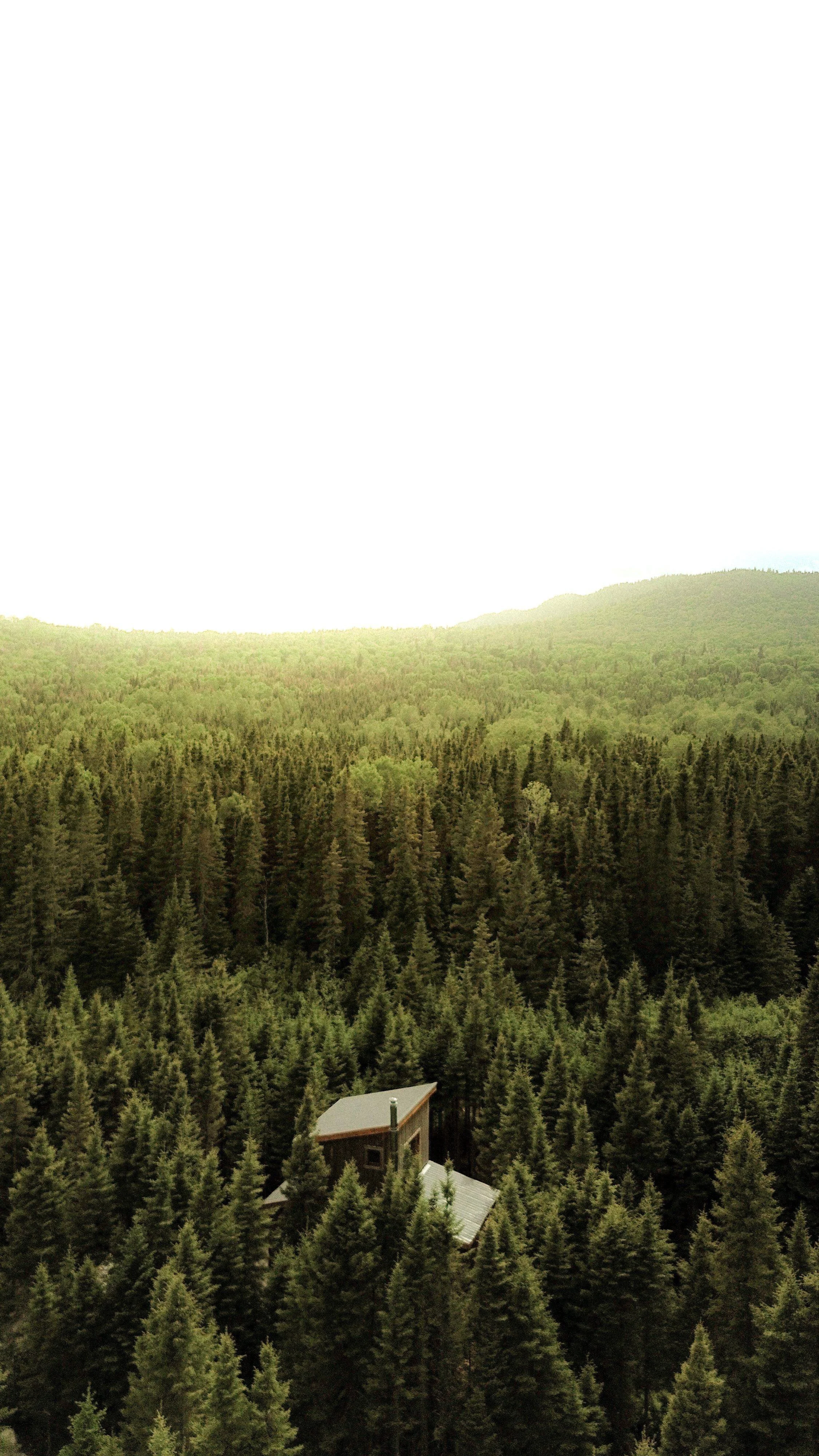 Micro chalets à louer dans Charlevoix / quatre saisons / Hauts Refuges