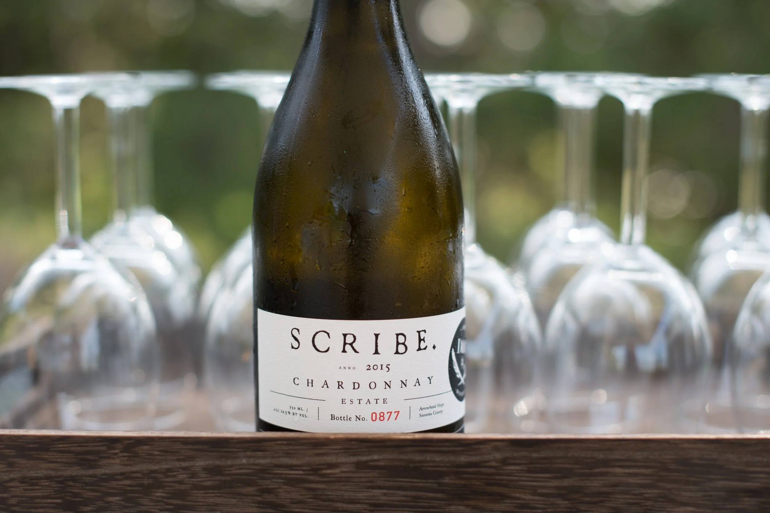 2020_Prairie Pasture-9.jpg