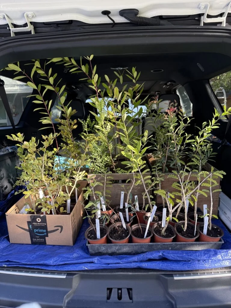 Having Our Trees and Planting Them Too