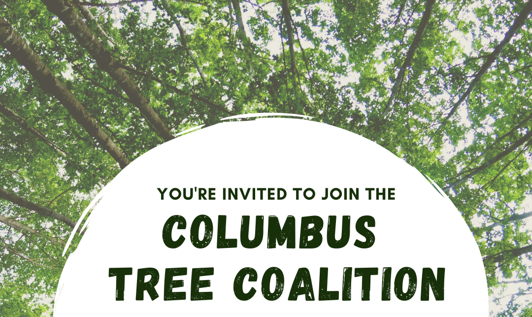 Columbus Tree Coalition Meeting 