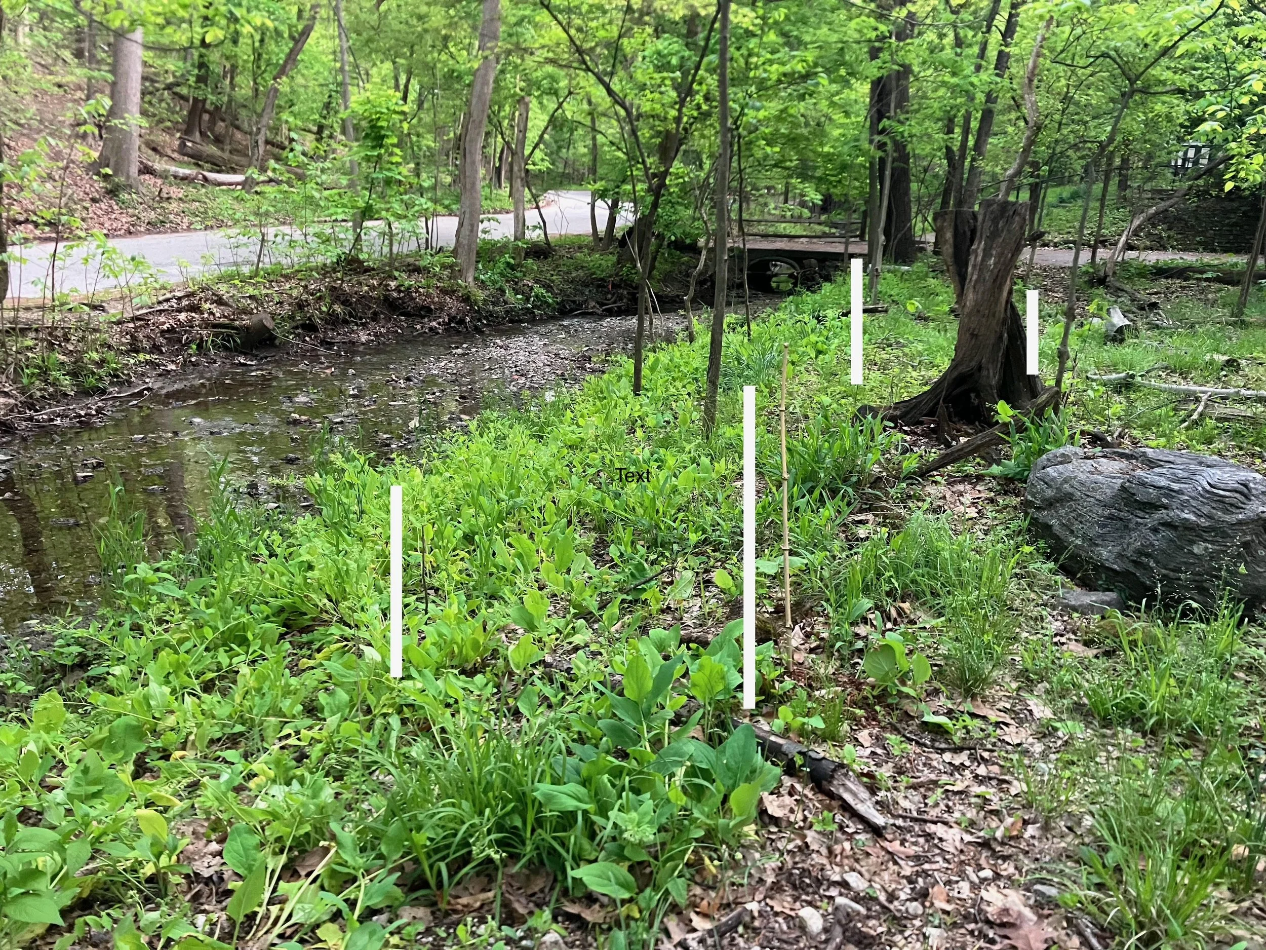 Walhalla Ravine Is a Work in Progress. It Always Will Be 