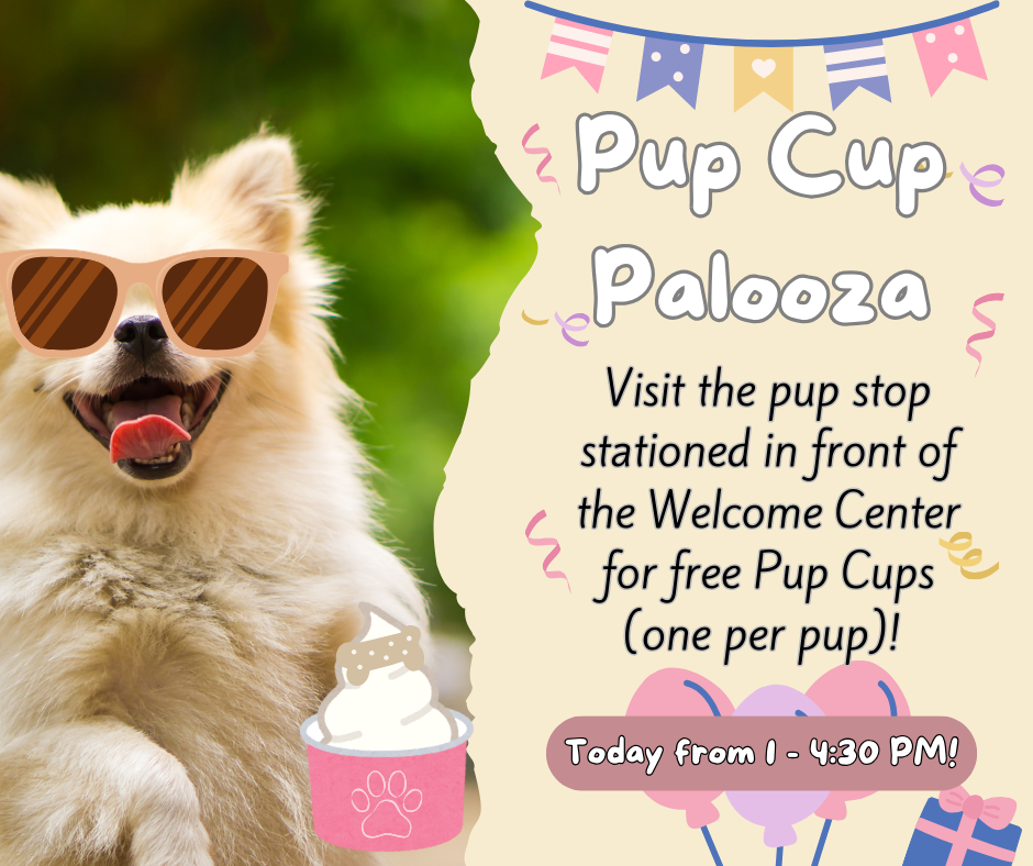 Pup Cup Palooza
