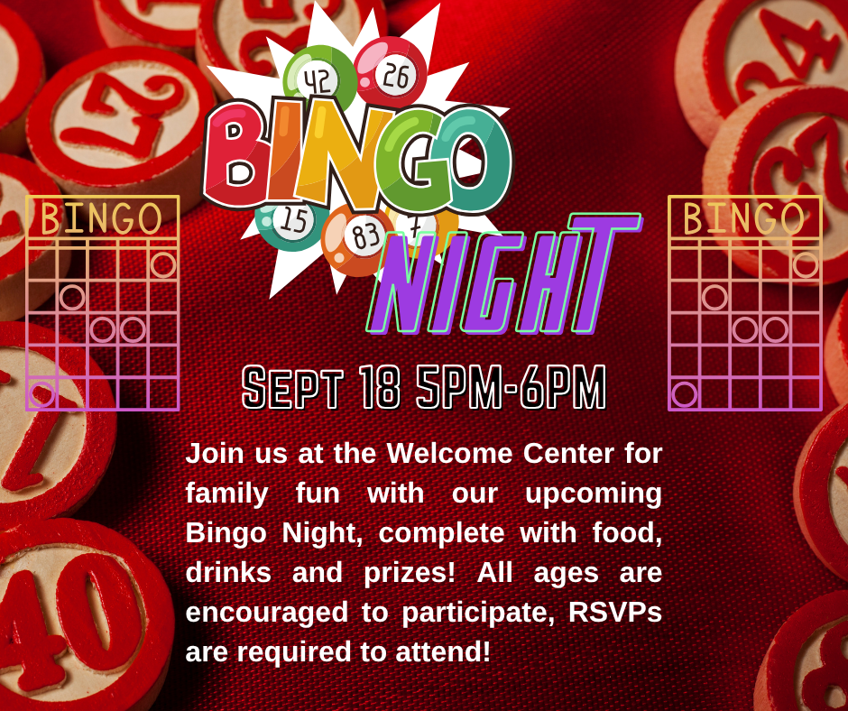 Bingo Night