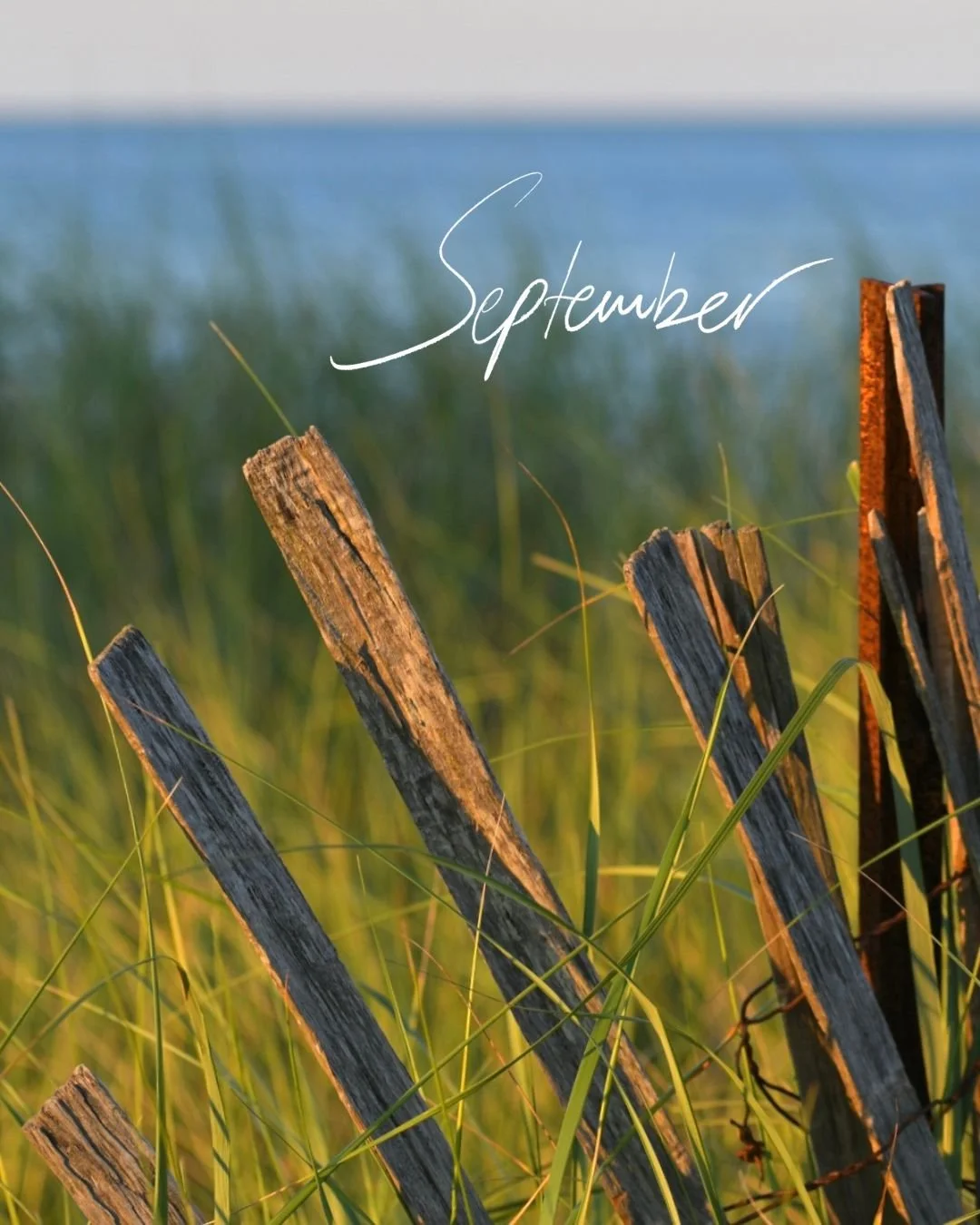 September flew by&mdash;a quick reset, back to rhythm, back to routines, and fresh energy for a new season. ☀️🍎

📸Photo credit: @amy.conly 

 #studiomystic #creativeeveryday #graphicdesign #goodvibes