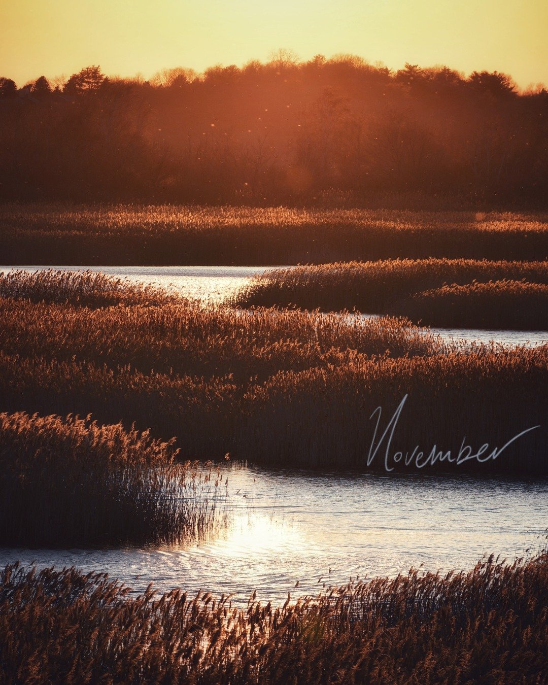 November flew by in a blur of meaningful work and giving. December, we&rsquo;re ready and excited for everything ahead. ✨

 #studiomystic #graphicdesign #creativeeveryday #creativityeveryday #designcommunity