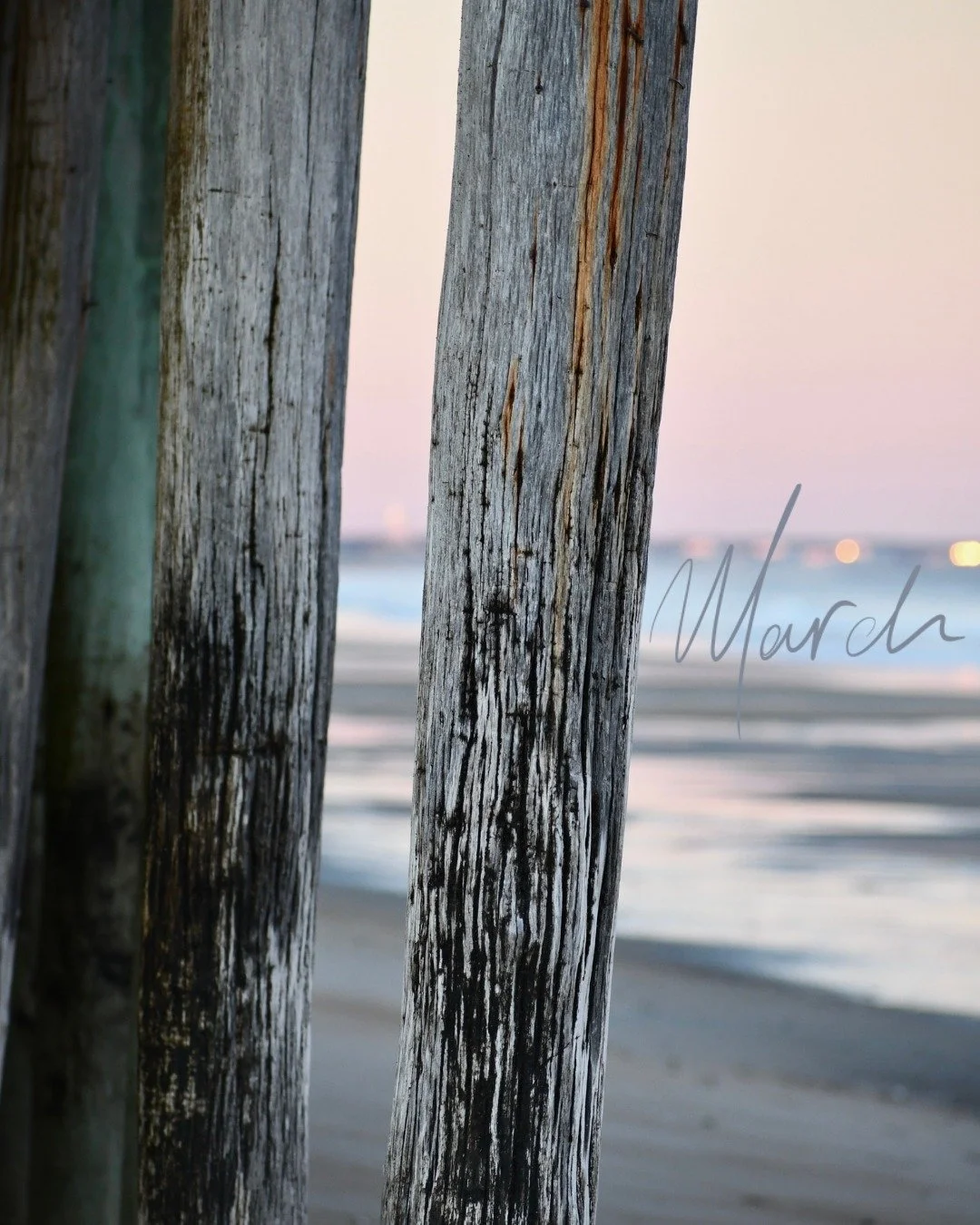 There&rsquo;s a quiet strength in March &mdash; subtle light, calm movement, and creative momentum building beneath the surface. 🌬️