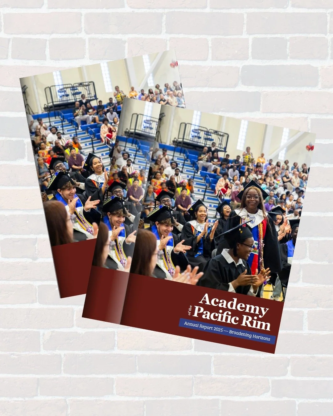 Studio Mystic worked closely with the Academy of the Pacific Rim on the visual direction for their 2025 Annual Report.

Together, we developed a design system that supports clarity, strengthens storytelling, and reflects the character of their instit