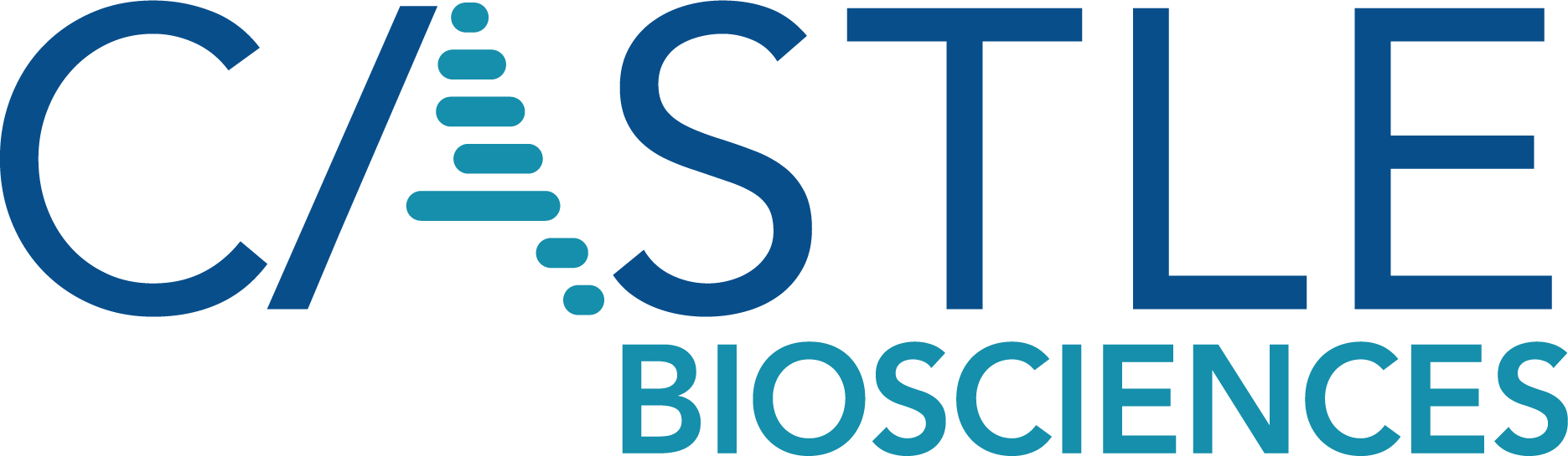 Castle Biosciences Dinner Presentation