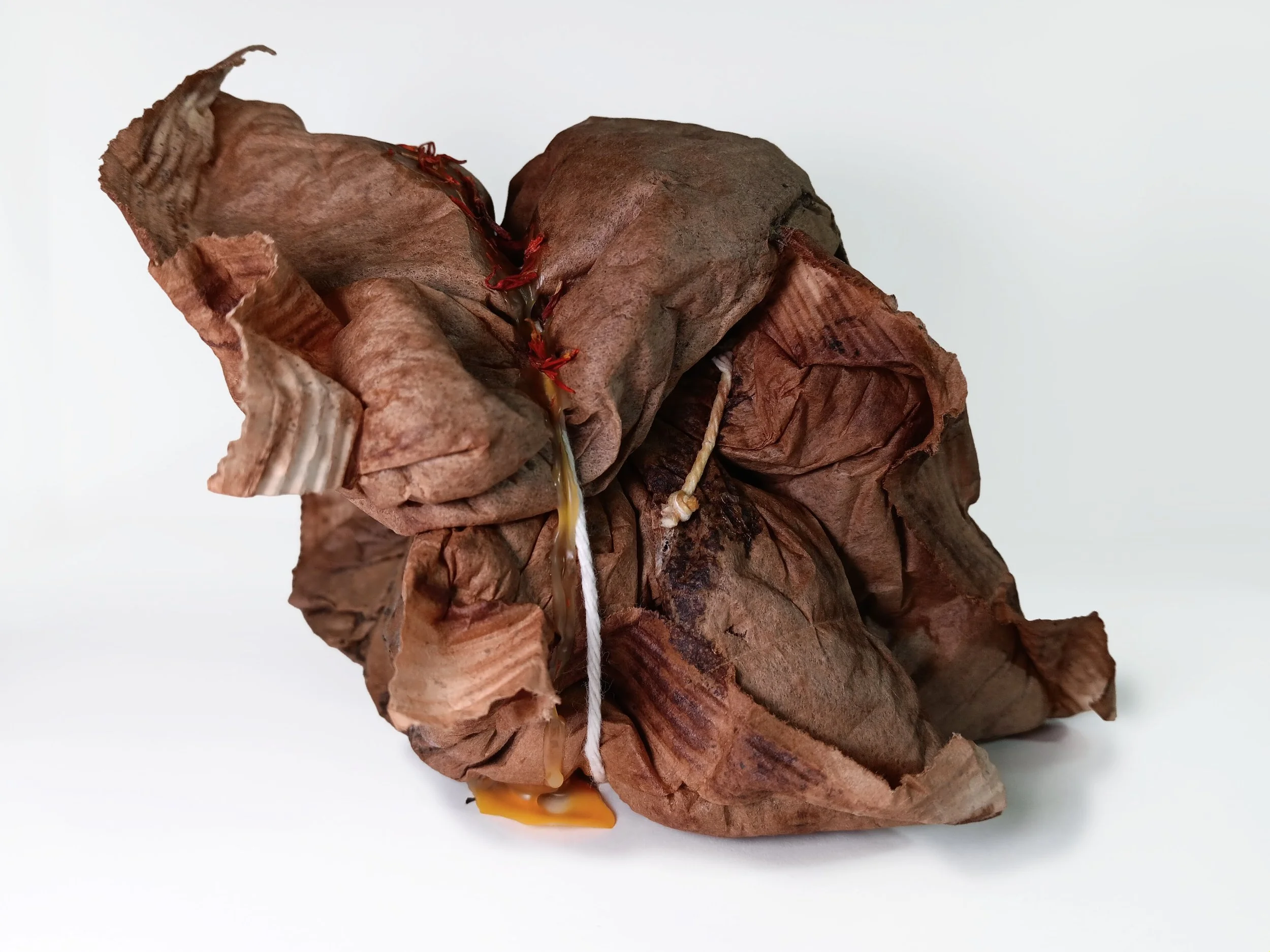 Safflower view 4 white.jpg