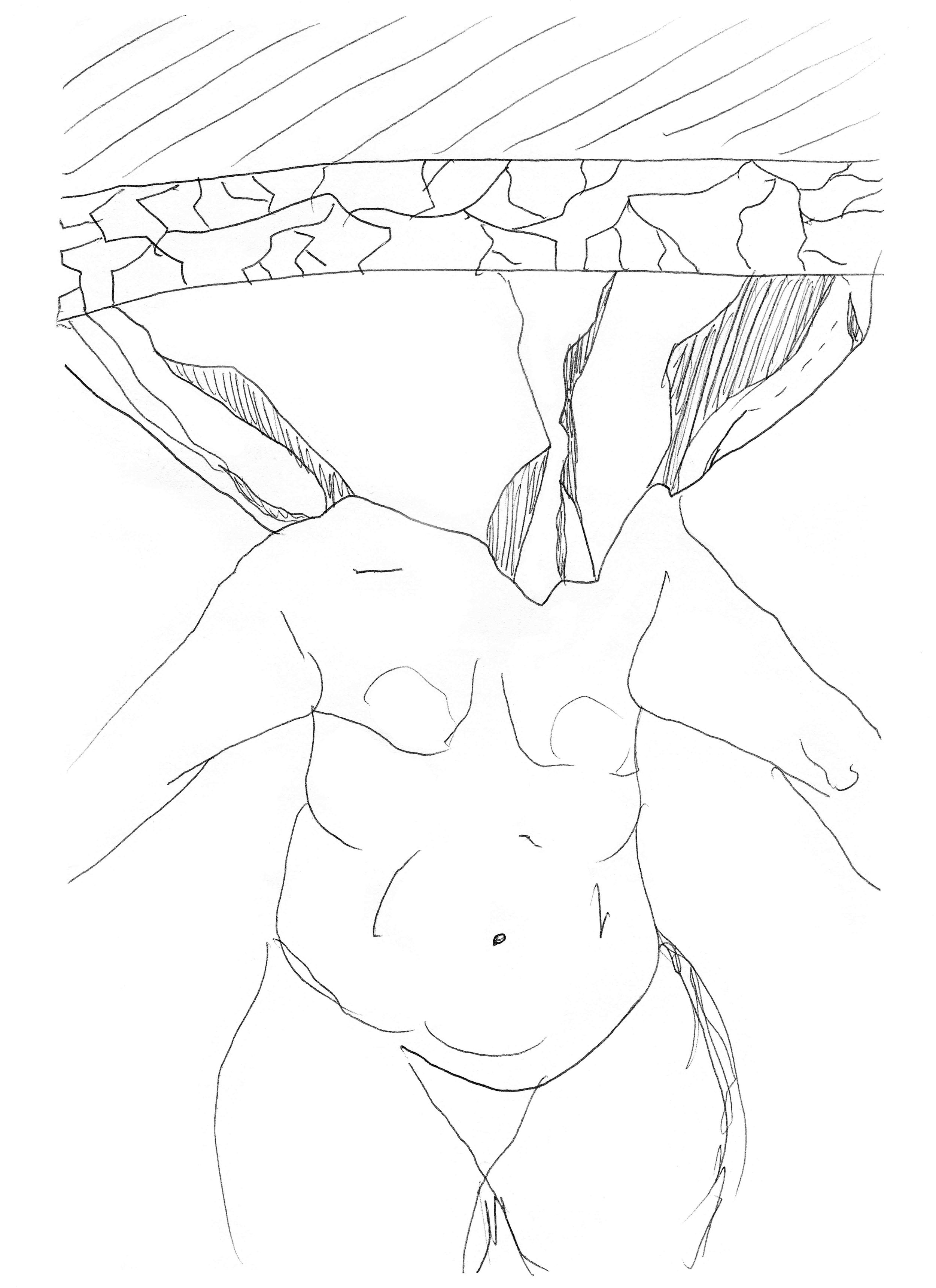body wall.jpg