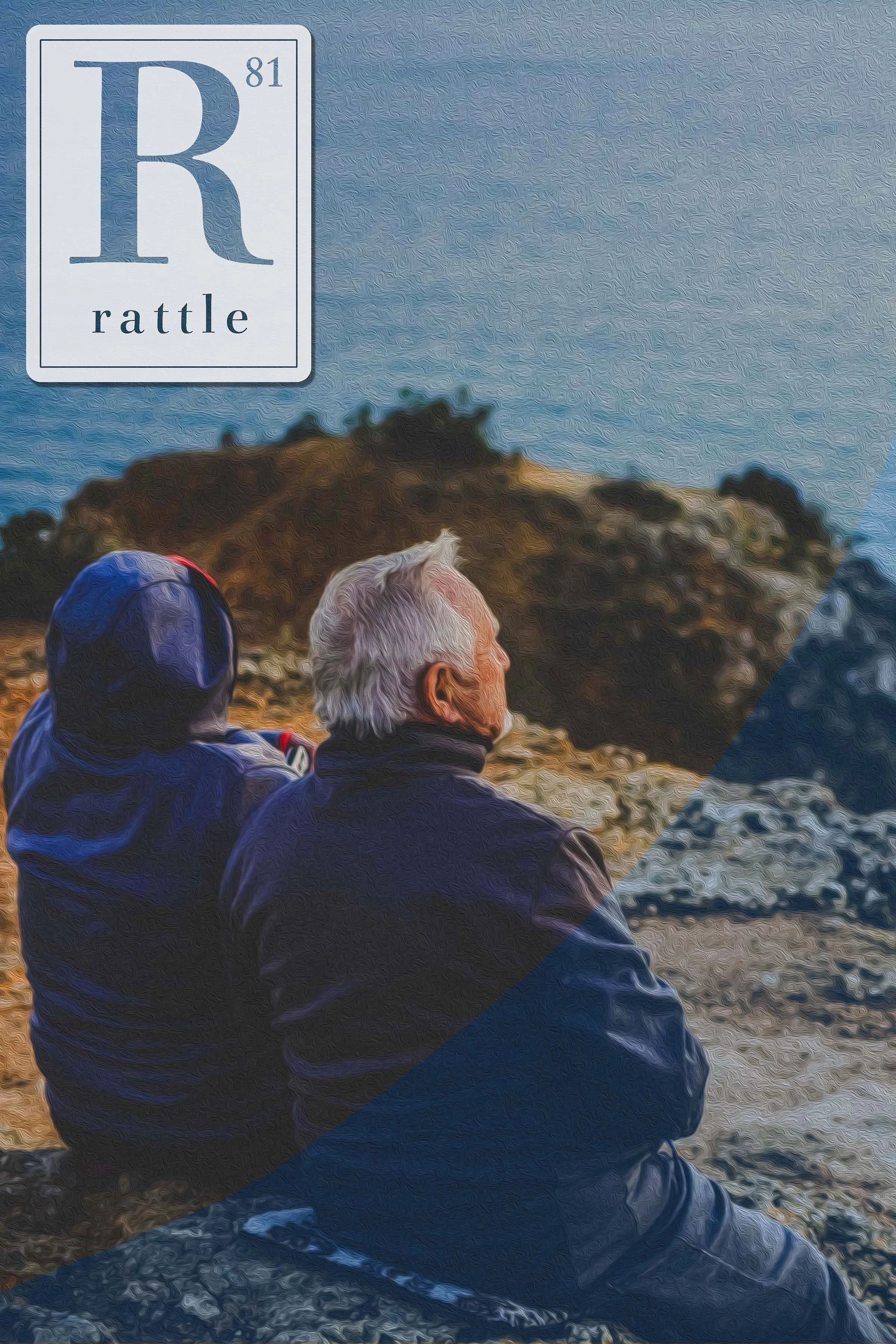 Rattle cover. general.jpg