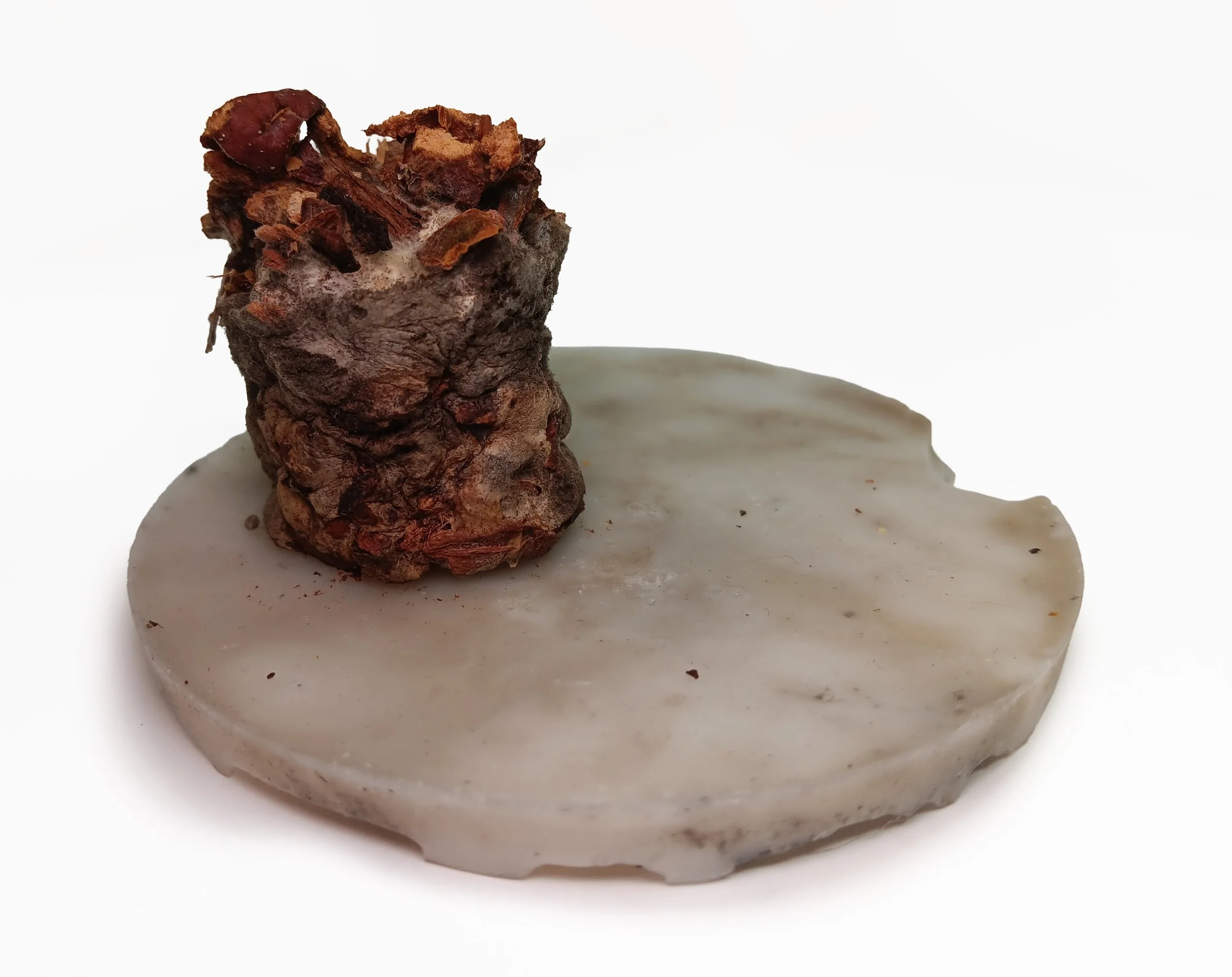 Mold Cylinder - updated 2025.jpg