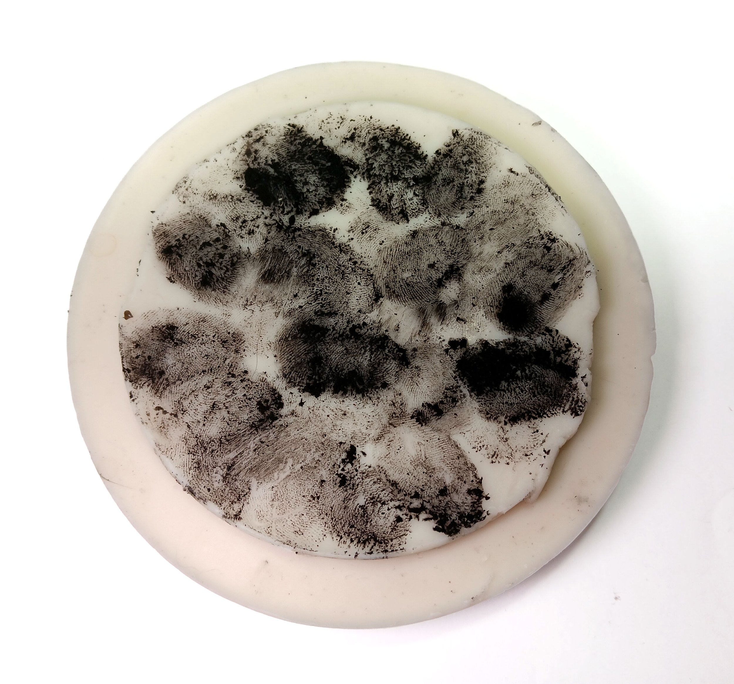 DNA, finger prints, wax circle.jpg