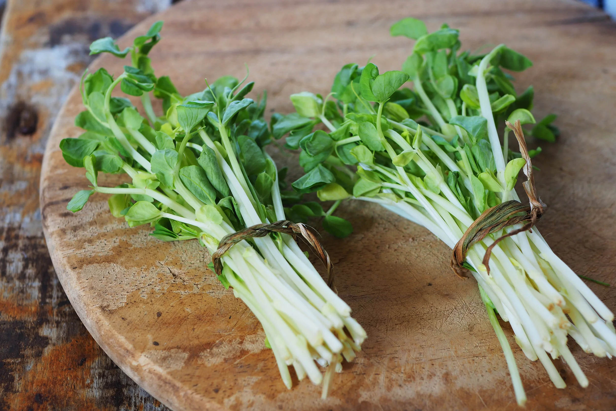 Pea Shoots &amp; Garlic