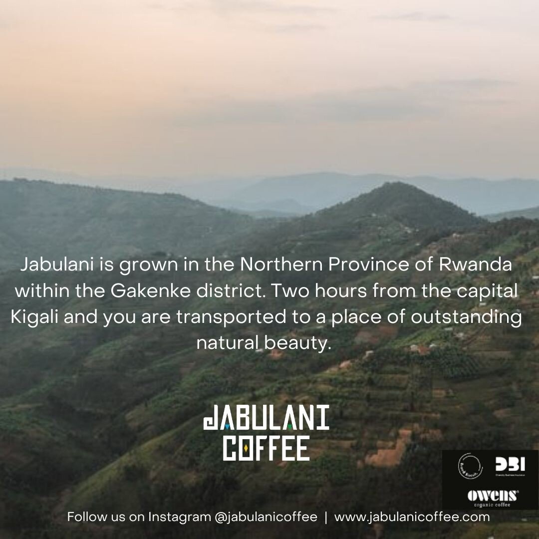 Here is an interesting fact about our Jabulani Coffee; Jabulani is grown in the Northern Province of Rwanda within the Gakenke district. 

Two hours from the capital Kigali and you are transported to a place of outstanding natural beauty.

#specialit