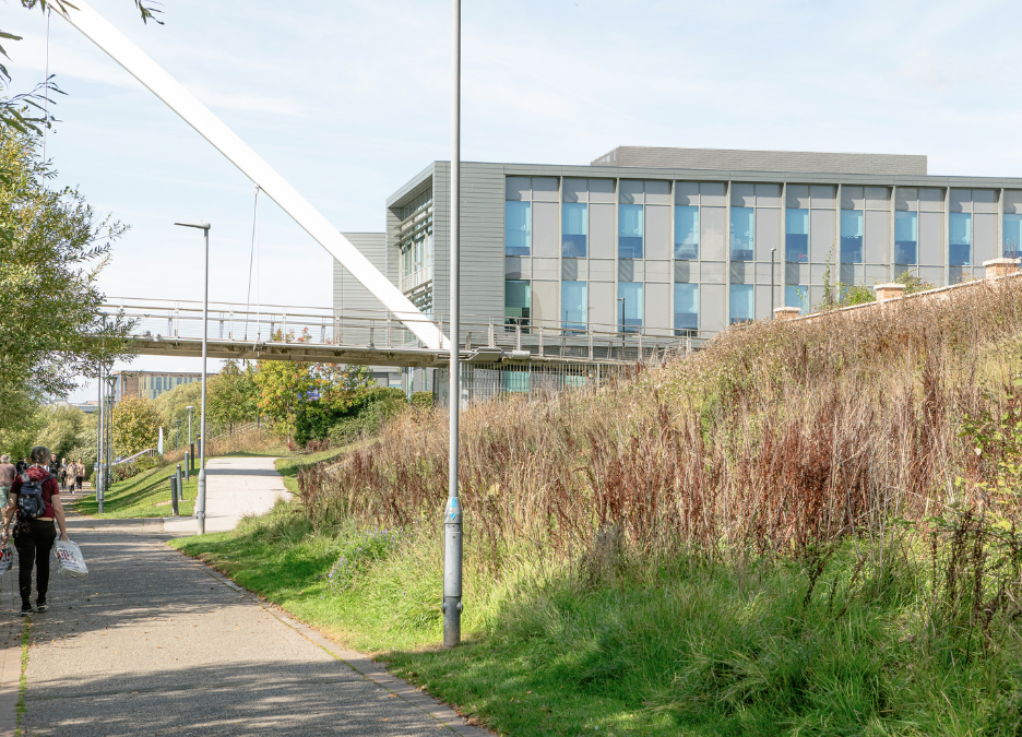 2026 Employee Travel Survey Now Open