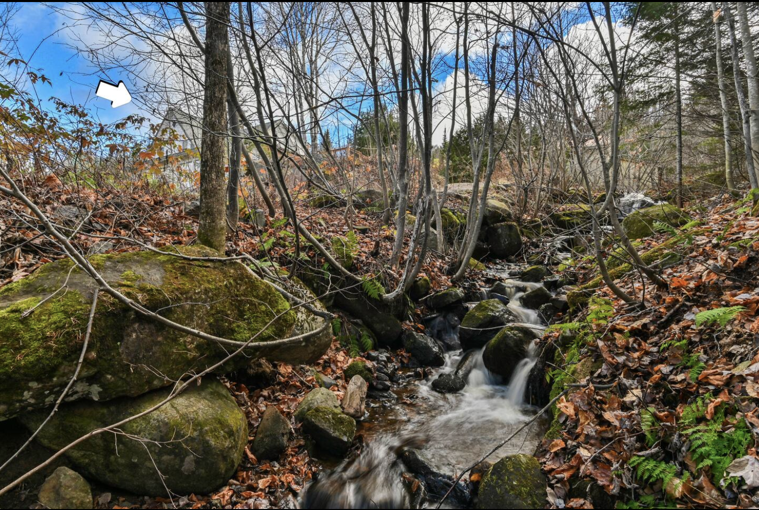 Capture d’écran, le 2026-02-07 à 12.33.57.png