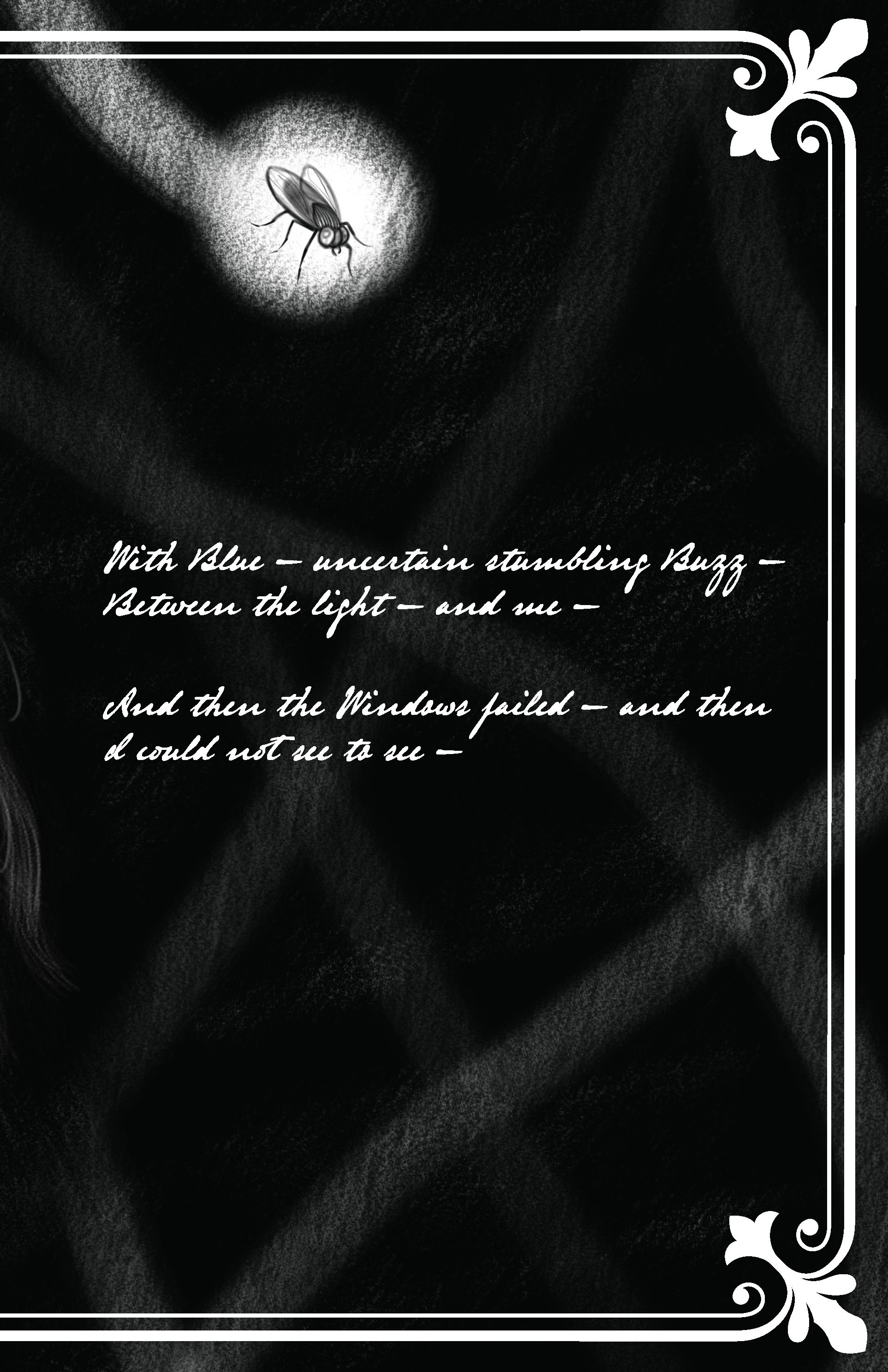 I heard a Fly- buzz when I died- by Emily Dickinson (1896). A short usually untitled poem by Dickinson that was illustrated by me (2022) using digital charcoal.