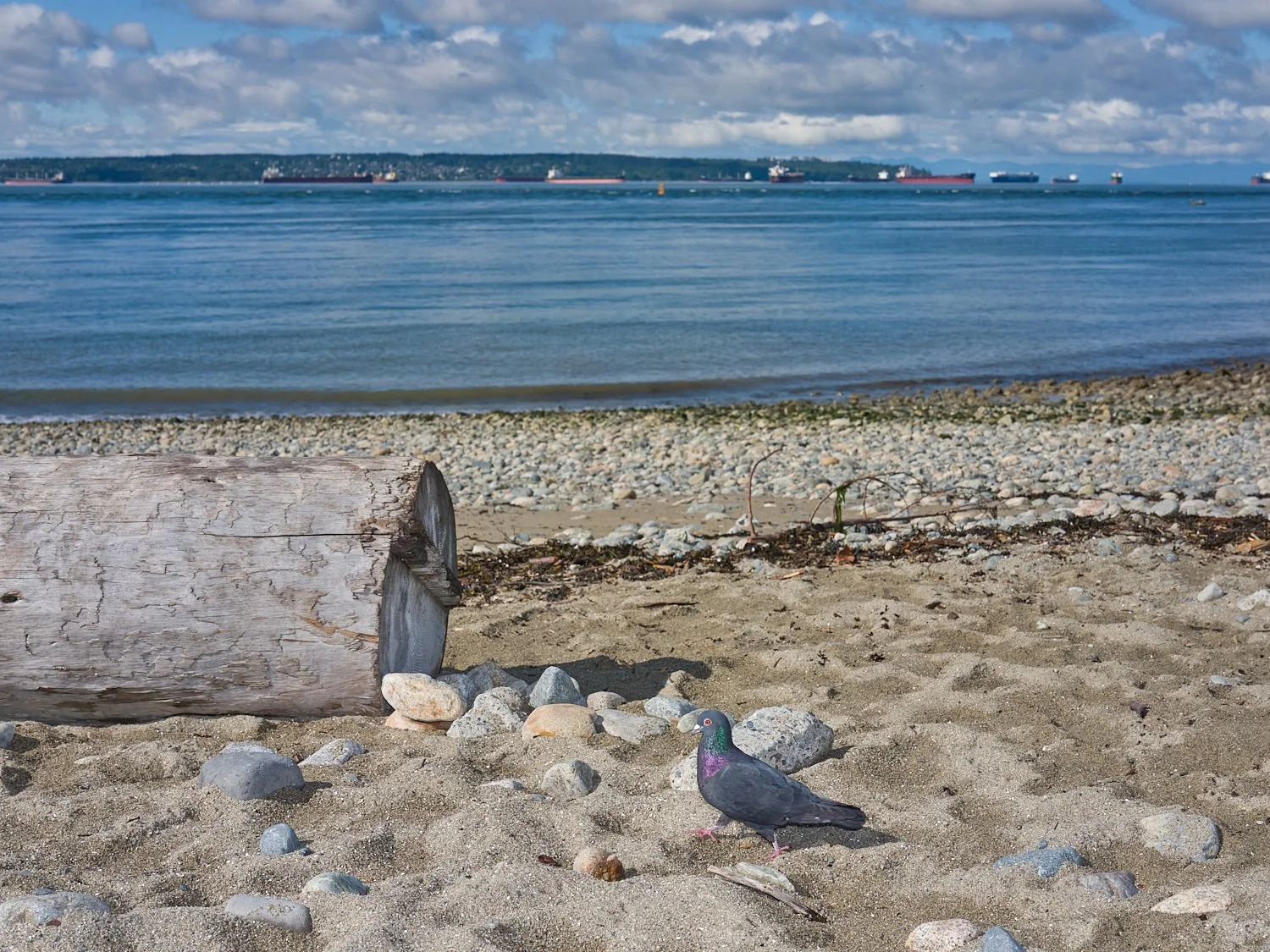 2026_05_Ambleside_7814.jpg