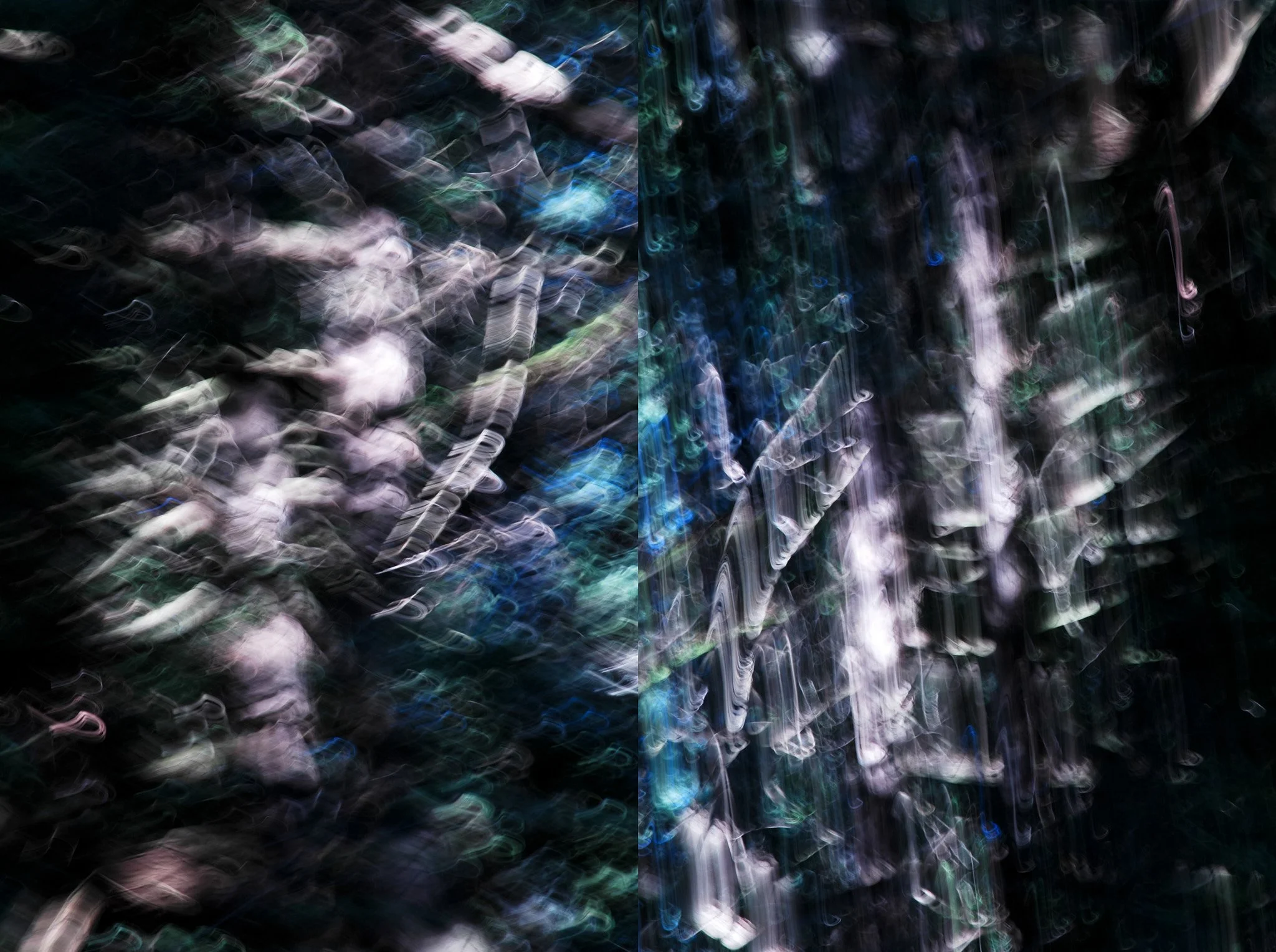 tyner woods page2_2005.jpg