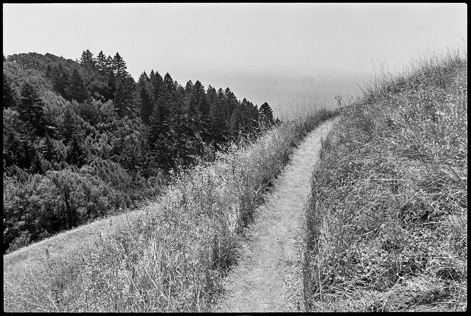 Stinson Beach, California, 1993