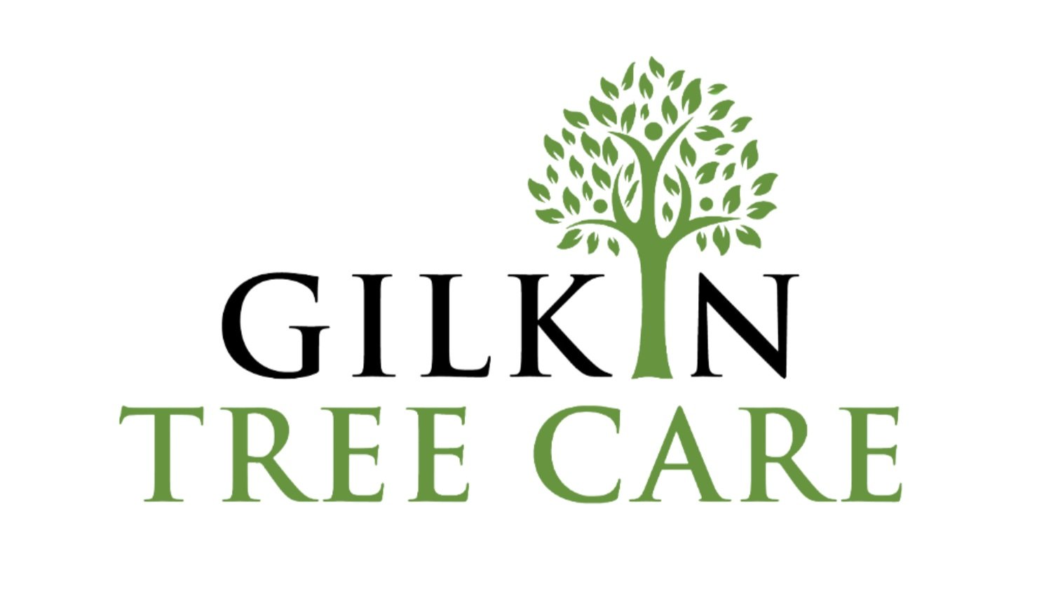 Gilkin Tree Care Tree Work Specialists in Derbyshire