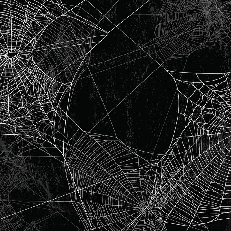 photobooth_backdrop_spider_web.jpg
