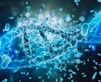 Scherm­afbeelding 2023-08-08 om 15.00.18.png