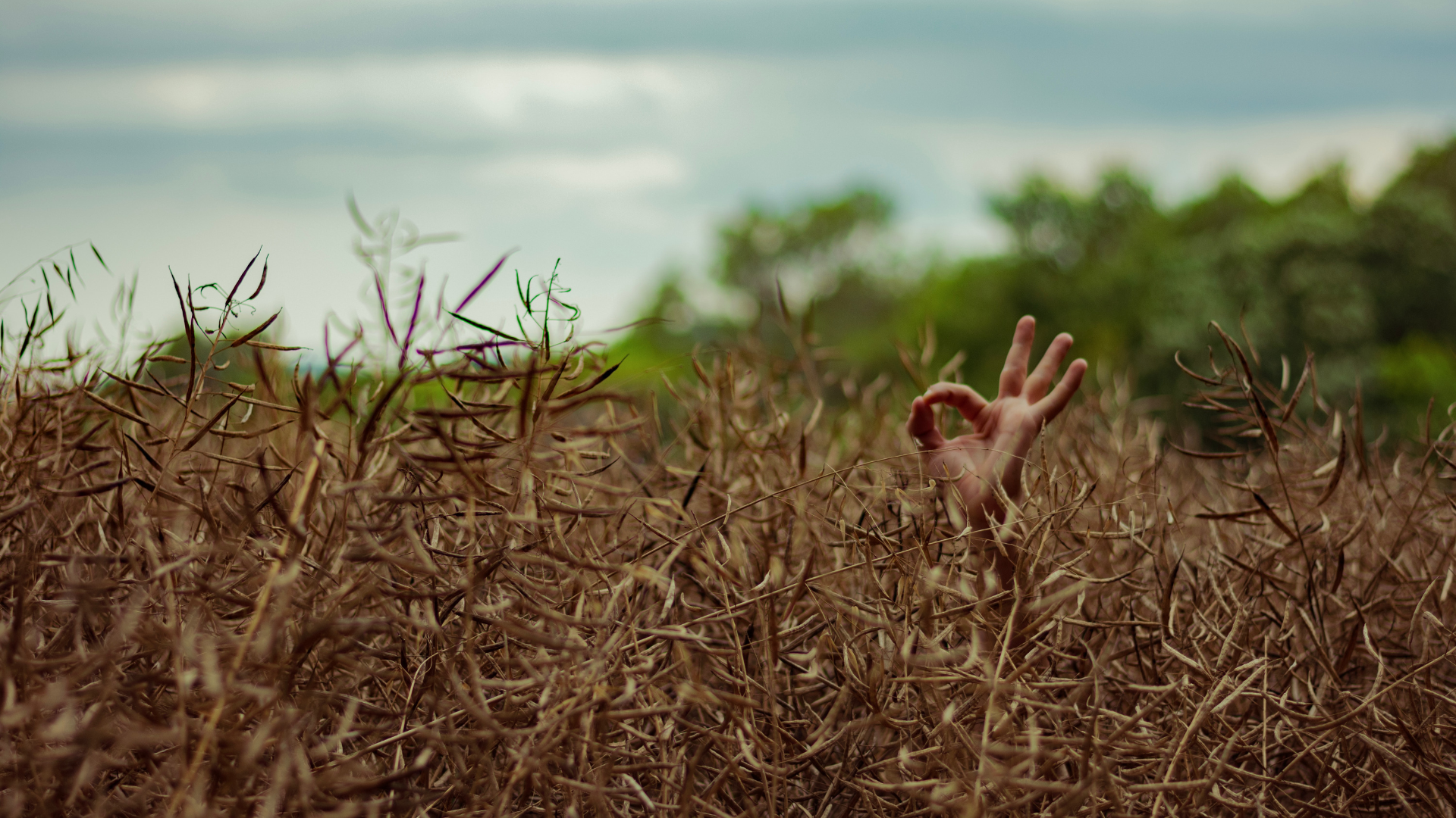 This is Going Somewhere Good